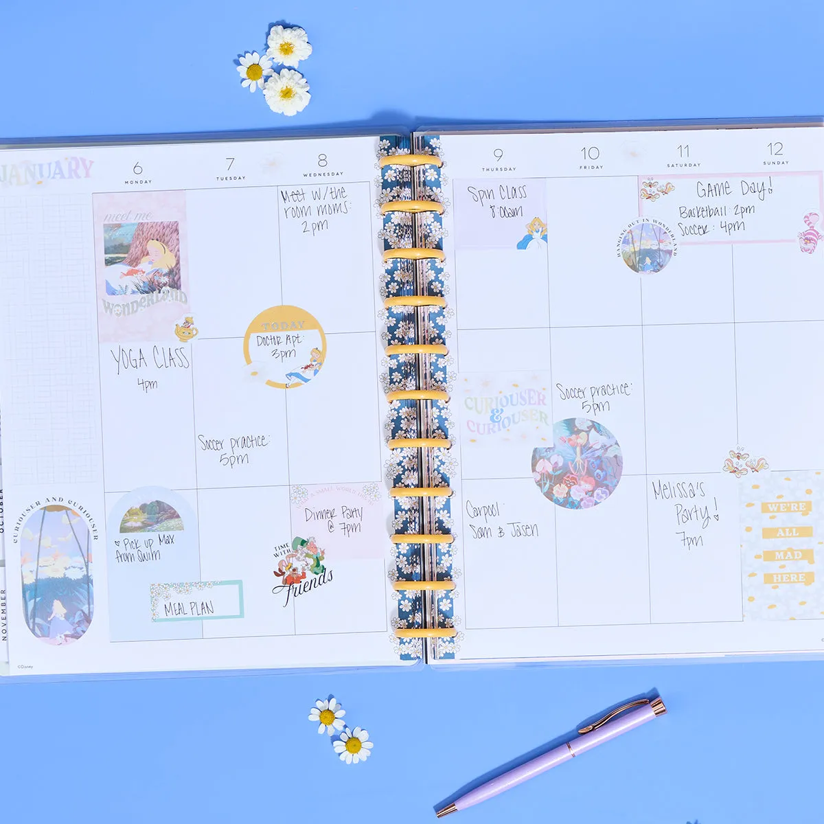 Happy Planner Disney Alice carnet stickers big 30 feuilles 414 pièces