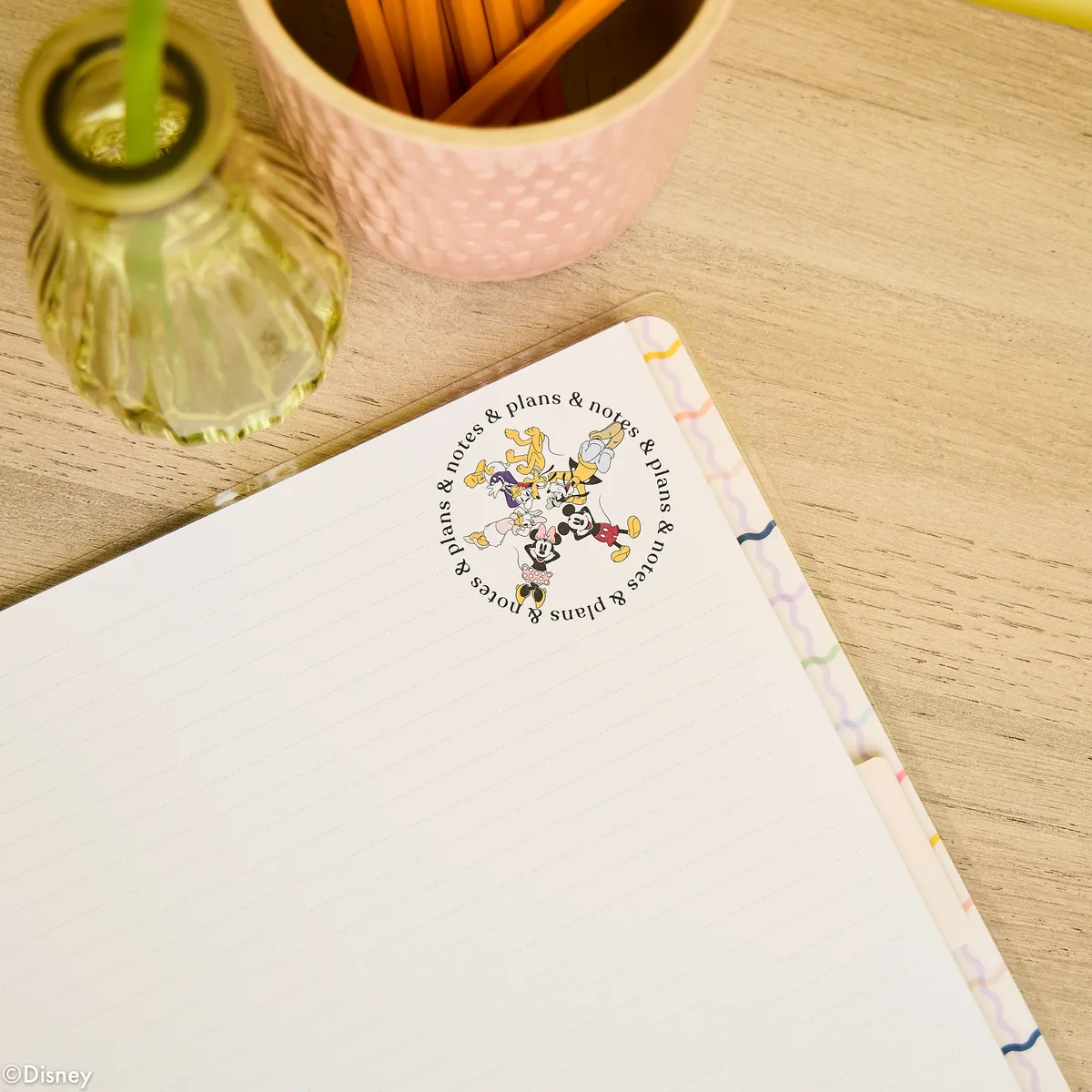 Happy Planner Disney Mickey carnet disques big ligné 60