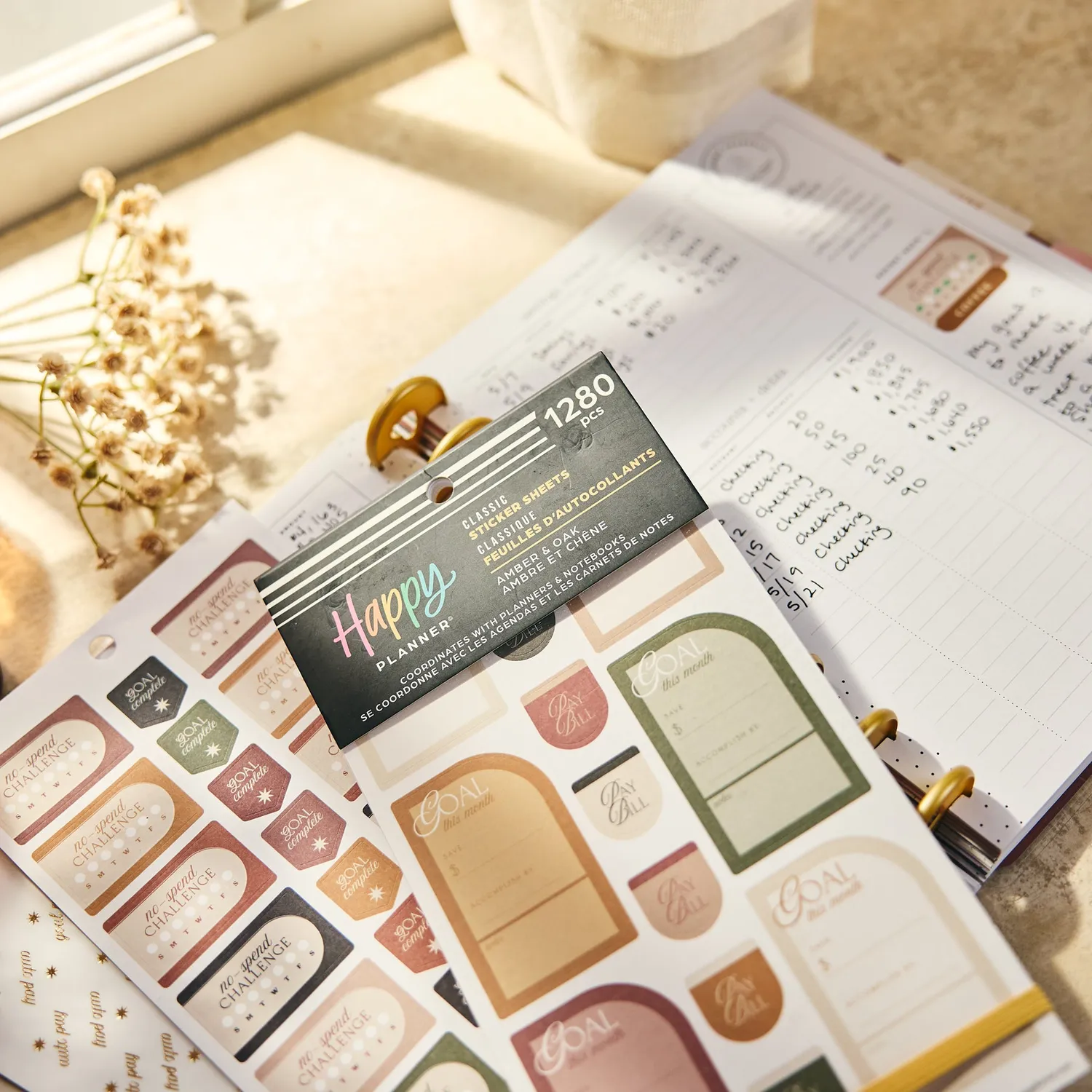 Happy Planner Amber & Oak stickers budget Value Pack 30 feuilles