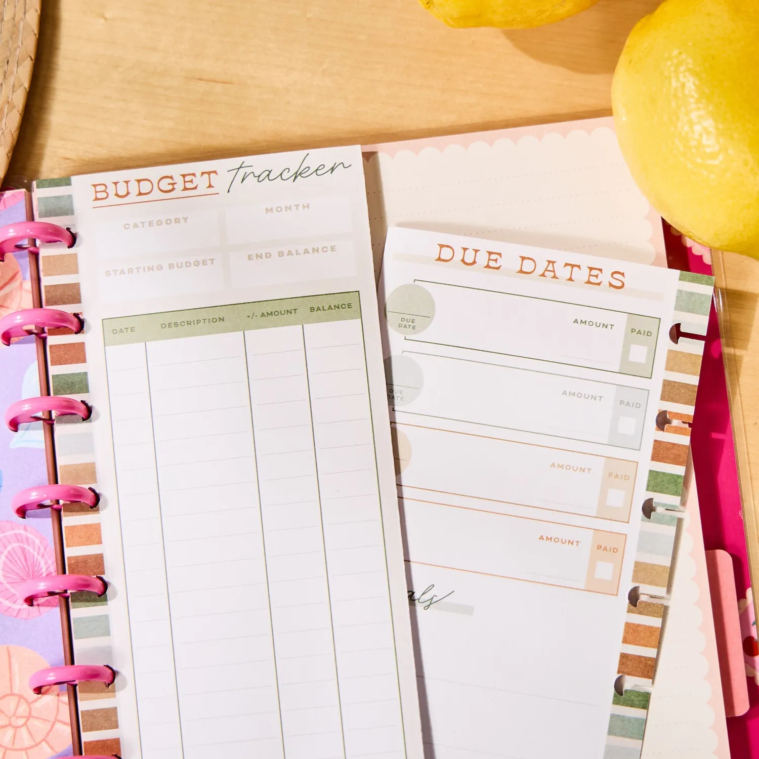 Happy Planner Sage Terracotta recharge budget Classic 40 feuilles