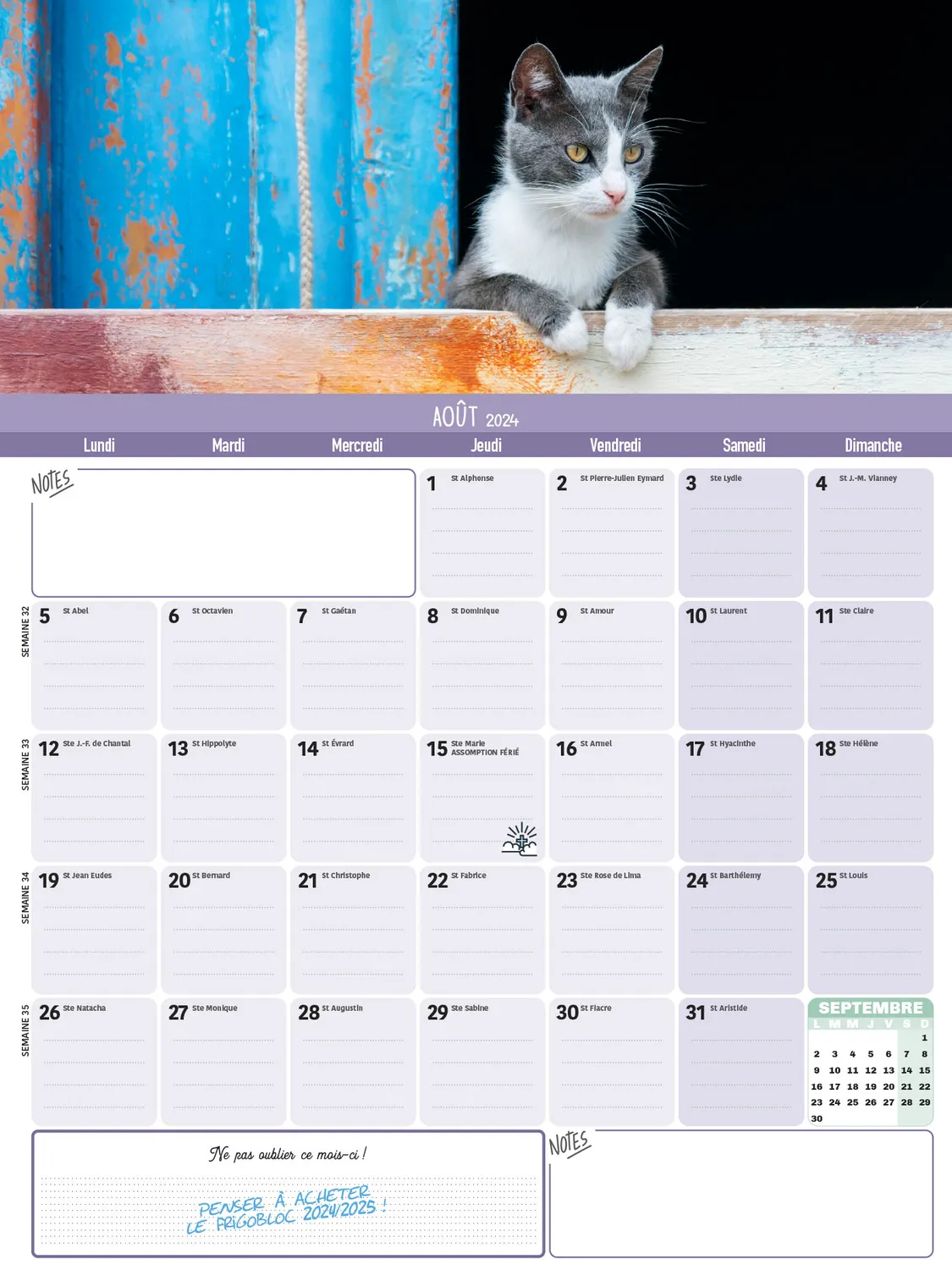 Frigobloc Mensuel 2024 calendrier familial Chats aimanté 16 mois