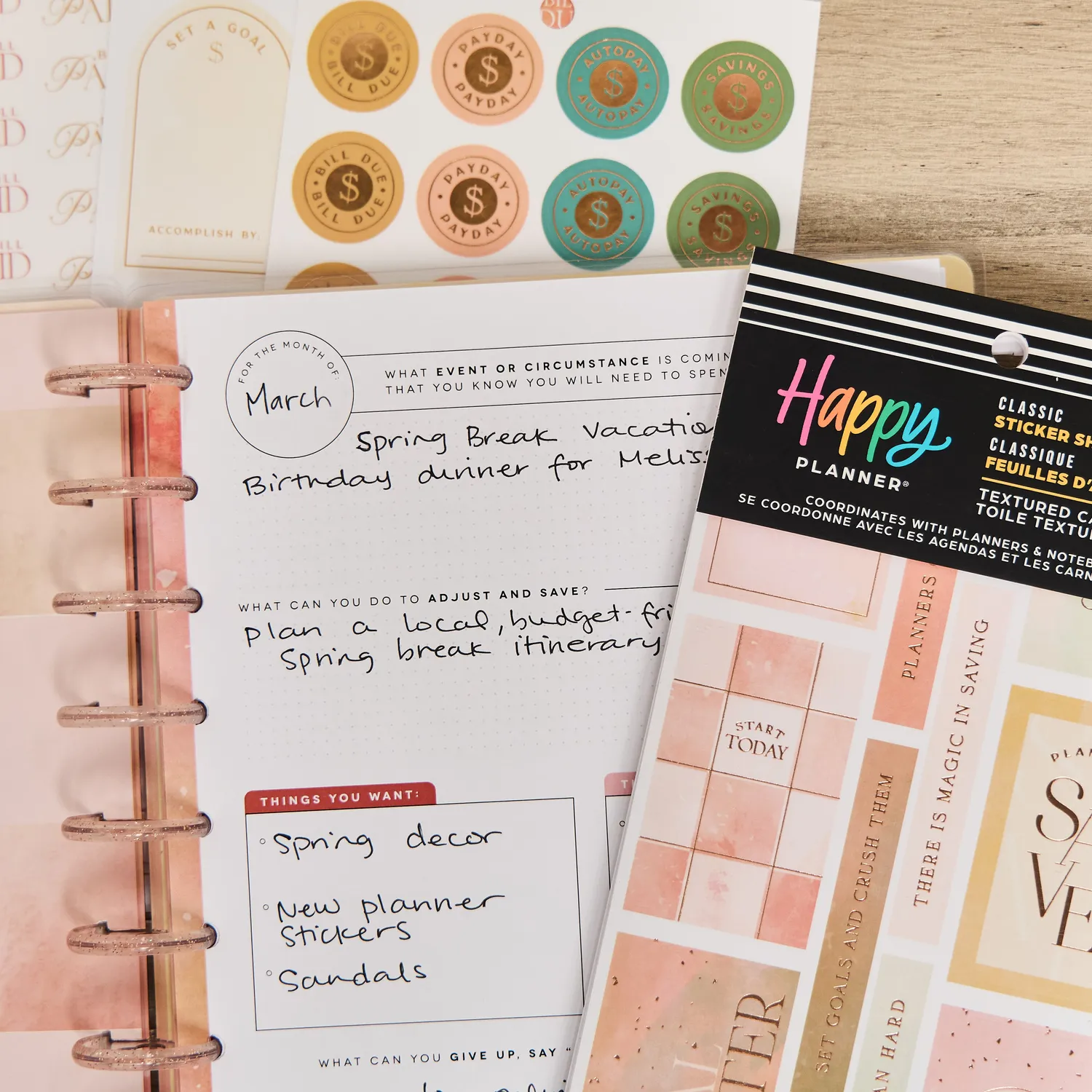 Happy Planner Textured Canvas Budget stickers 1045 autocollants