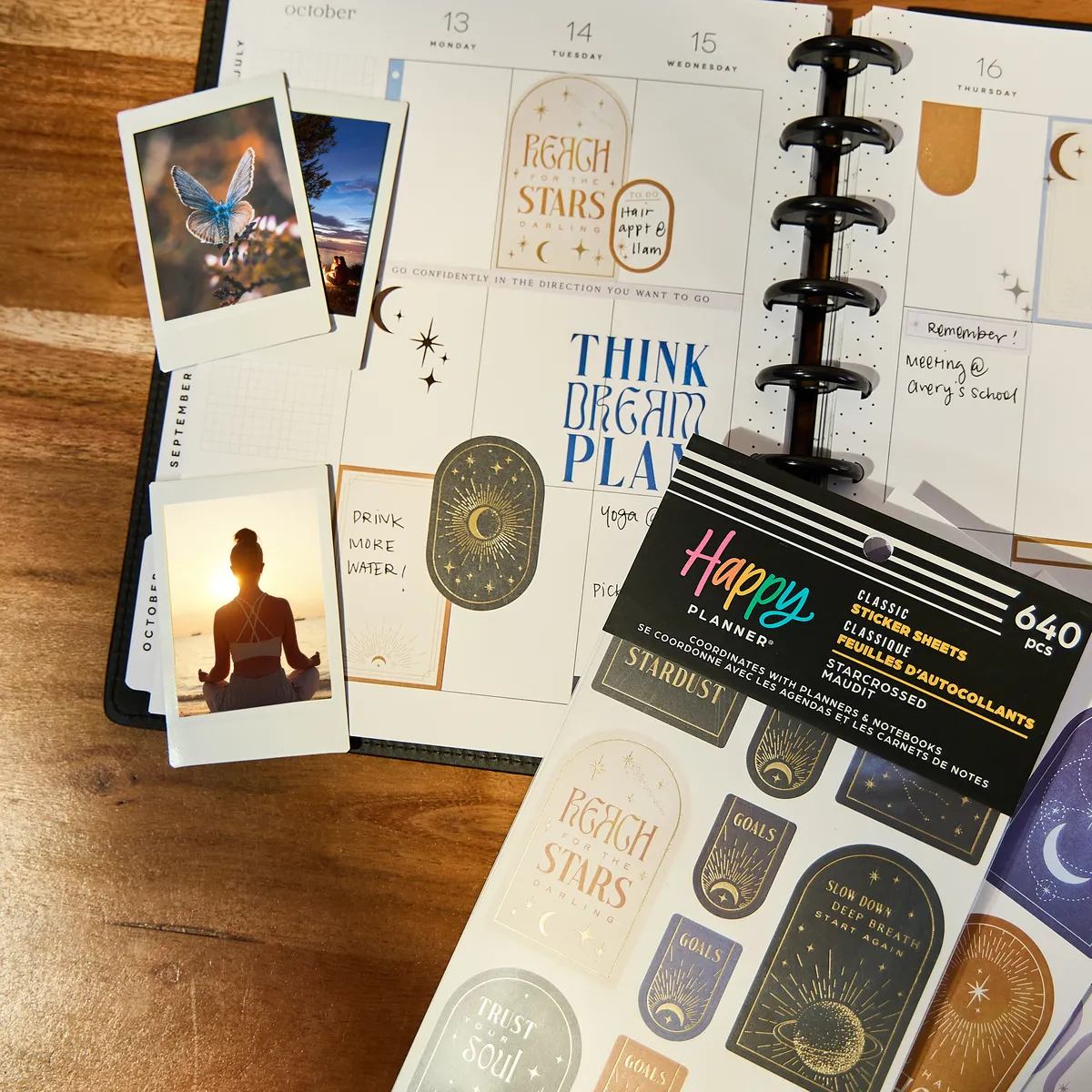 Happy Planner Starcrossed stickers 640 neutre