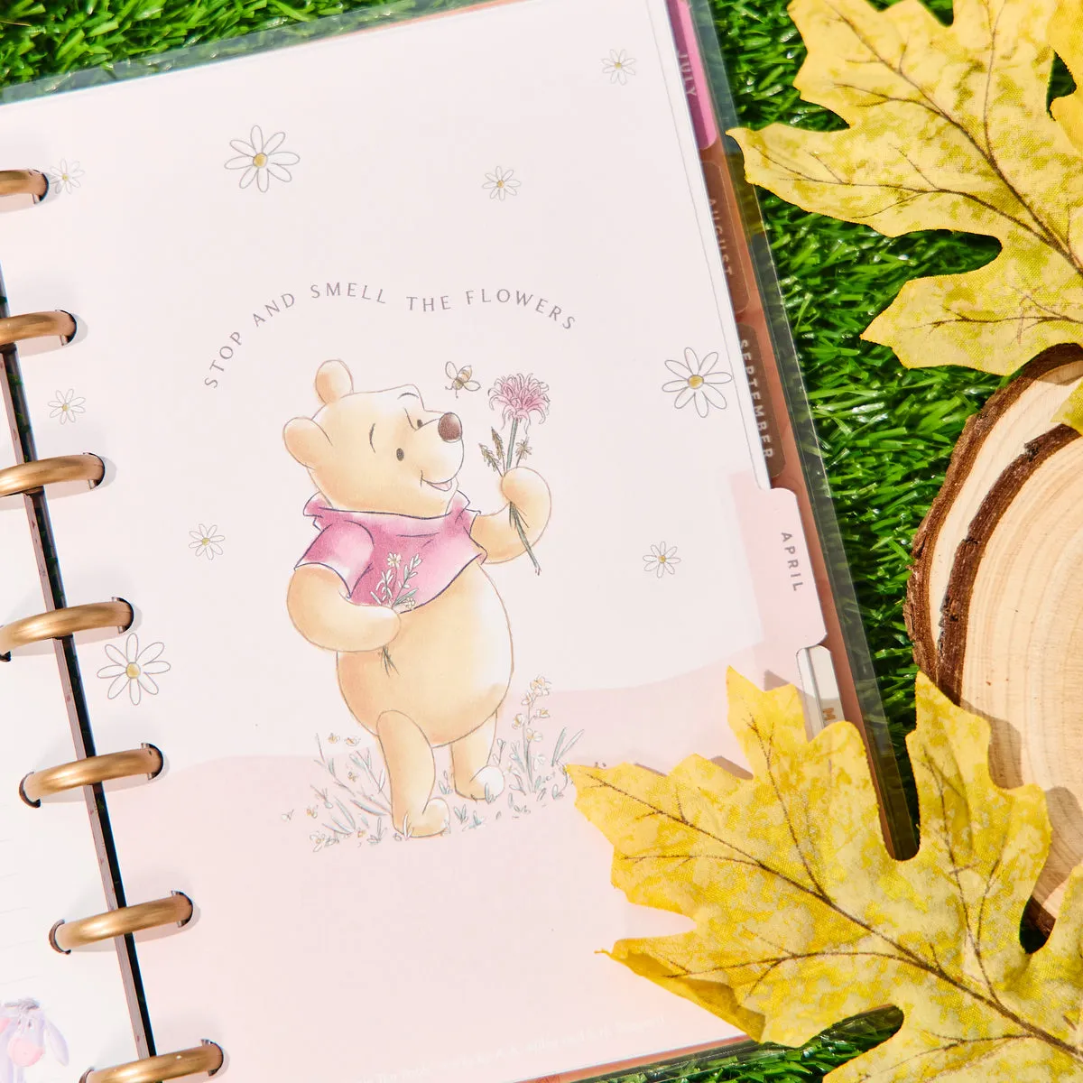Happy Planner Winnie Ourson Mini agenda 2026 vertical