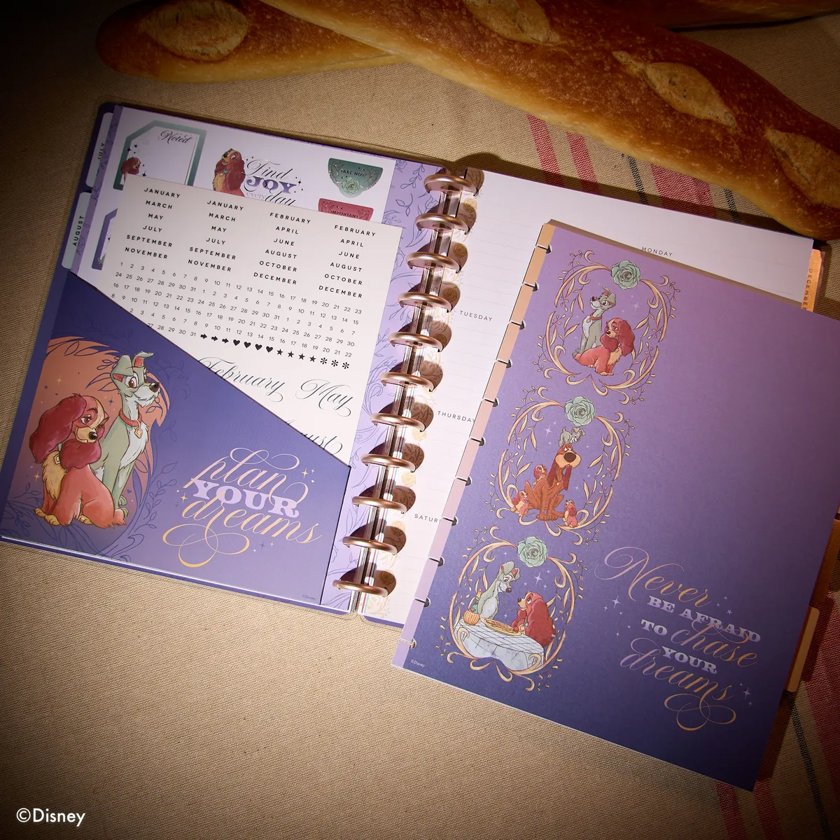 Happy Planner Disney Lady Tramp extension planner Big 4 mois