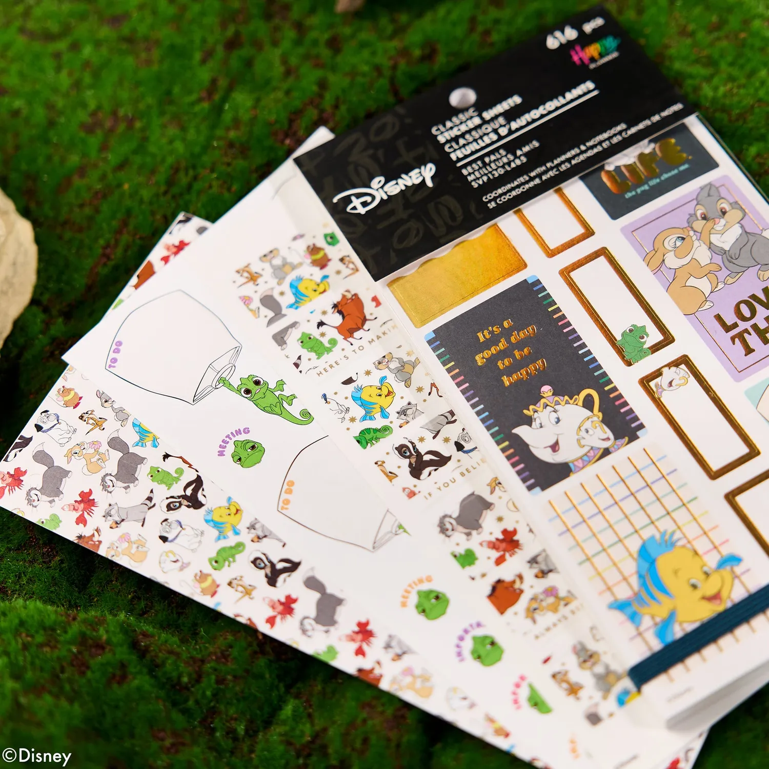 Happy Planner Disney Best Pals stickers Value Pack 30 feuilles