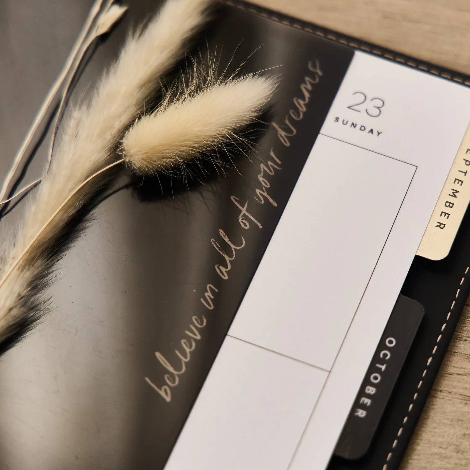 Happy Planner Modern Charm intercalaires Classic lot de 3