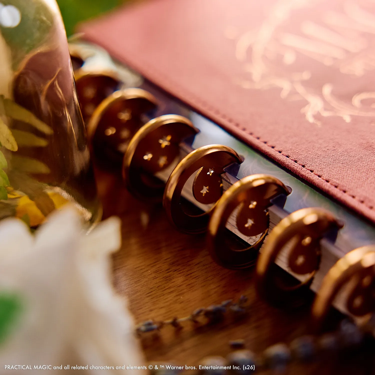 Happy Planner Practical Magic agenda 2027 Classic horizontal velours