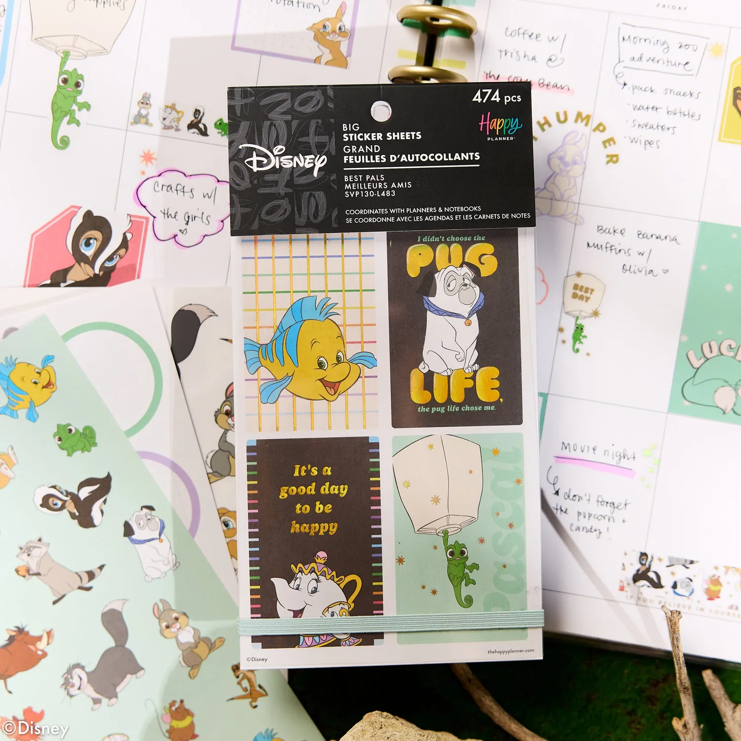 Happy Planner Disney Best Pals stickers Big 30 feuilles