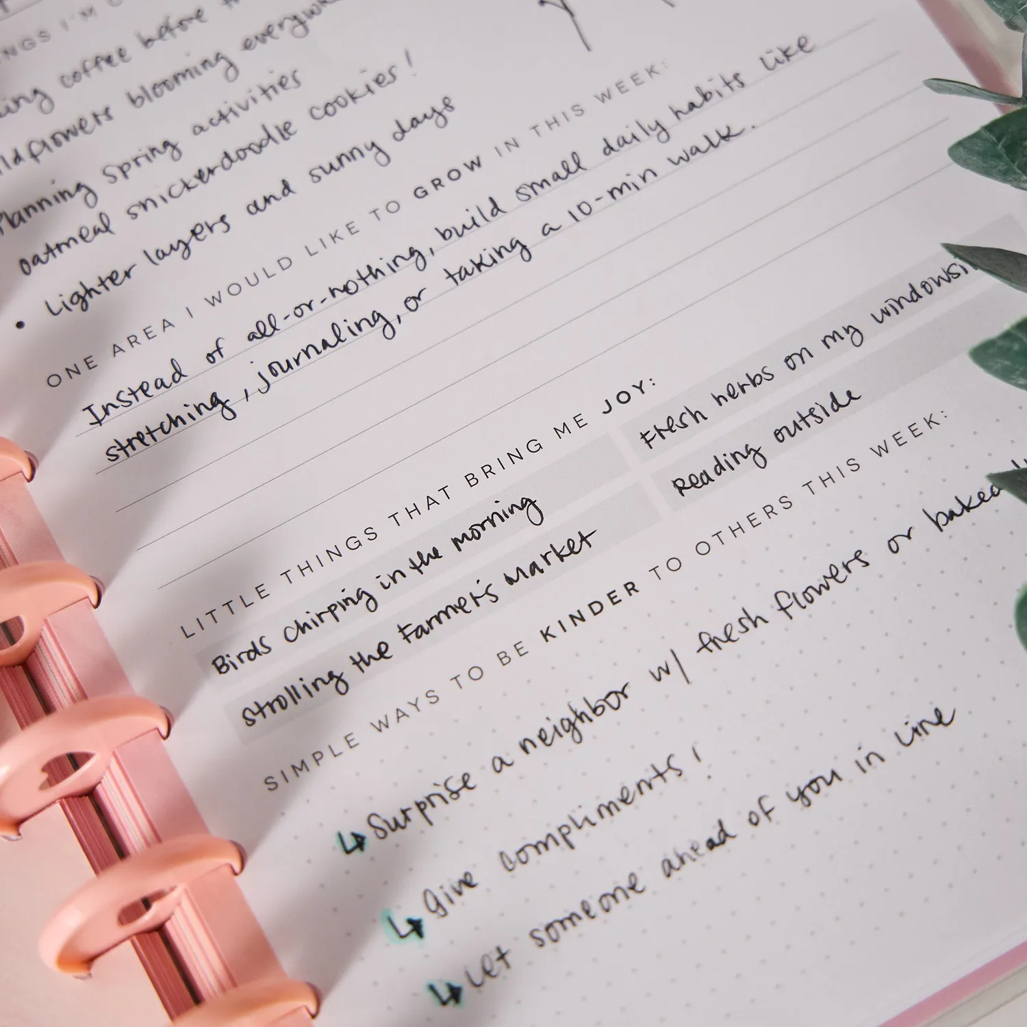 Happy Planner Rise & Align Wellness journal guidé bien-être 80 feuilles