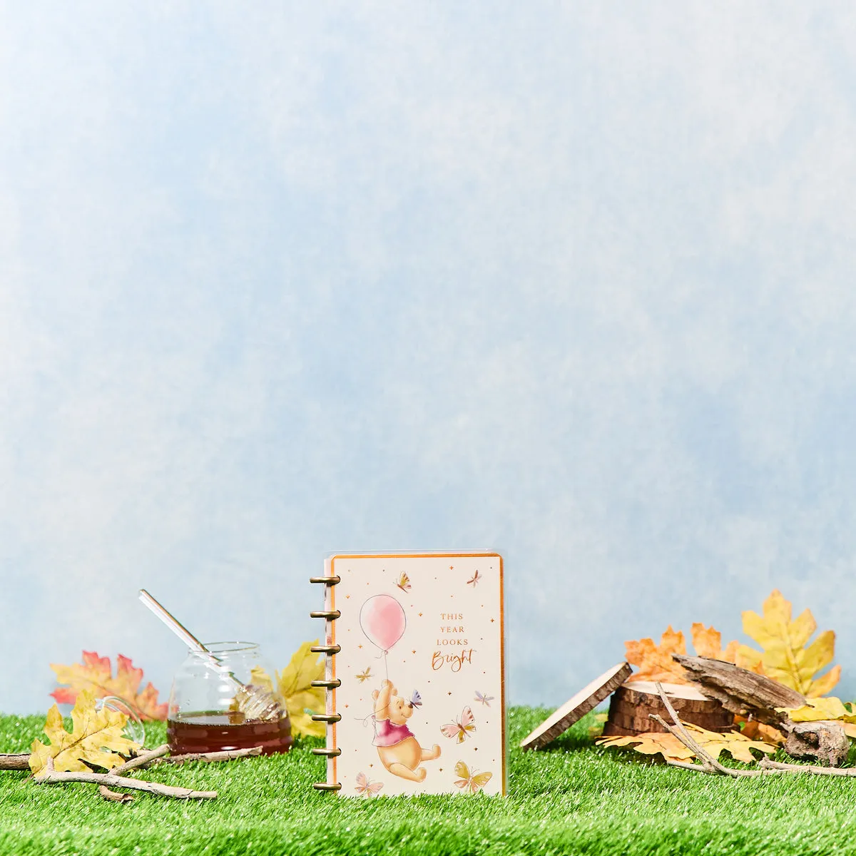Happy Planner Winnie Ourson Mini agenda 2026 vertical