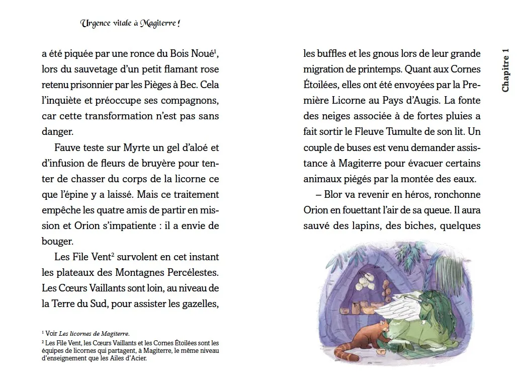 Frigobloc Animalia Malédiction coeur de pierre tome 6 roman