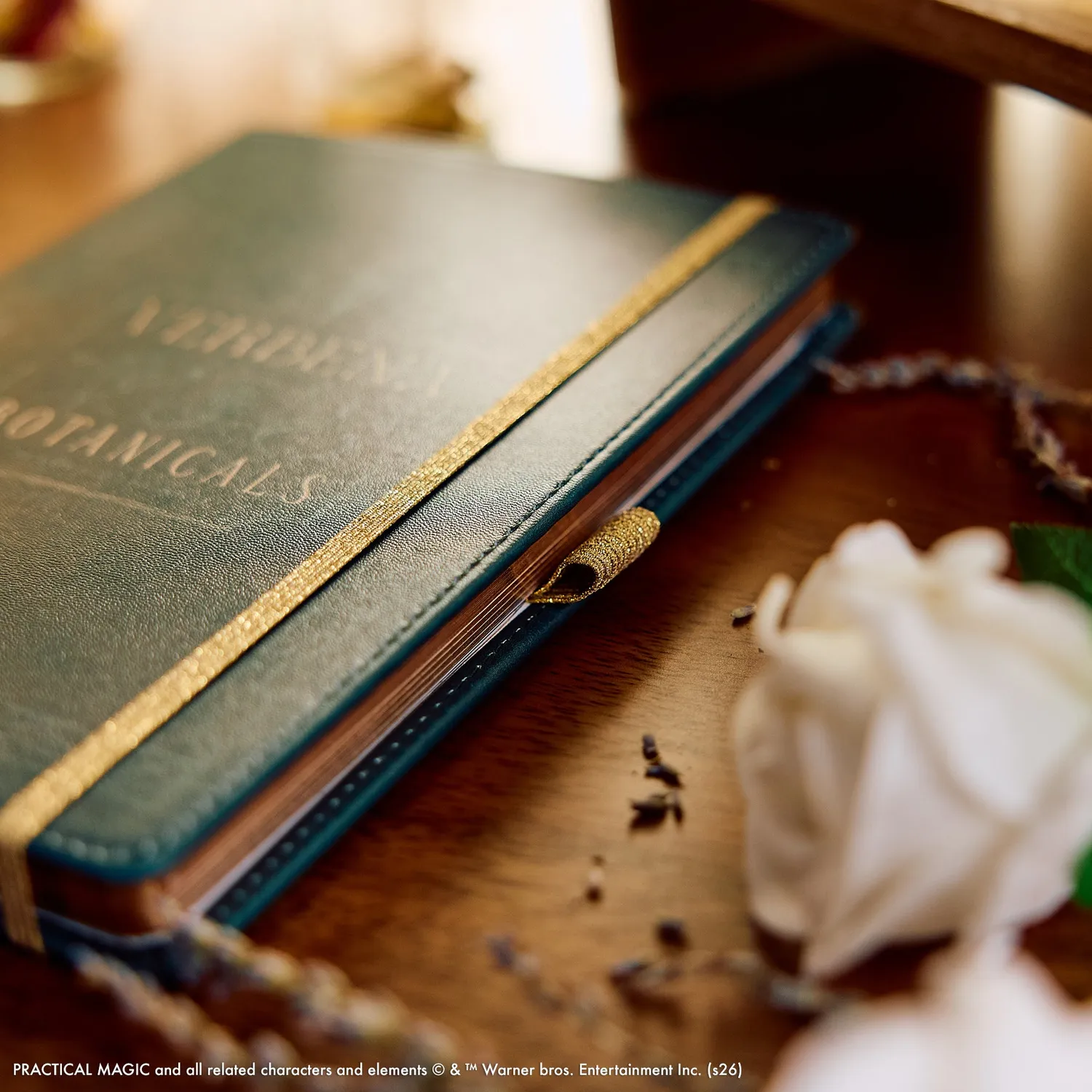 Happy Planner Practical Magic journal pointillé A5 tranches dorées