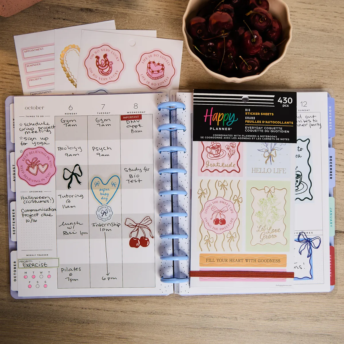 Happy Planner Everyday Coquette stickers Big 430 pièces