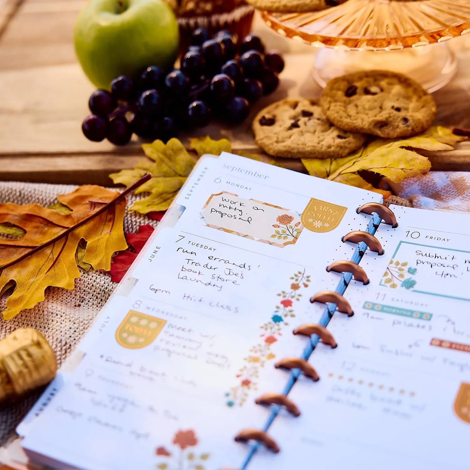 Happy Planner Fall Picnic agenda 2027 Skinny Classic horizontal