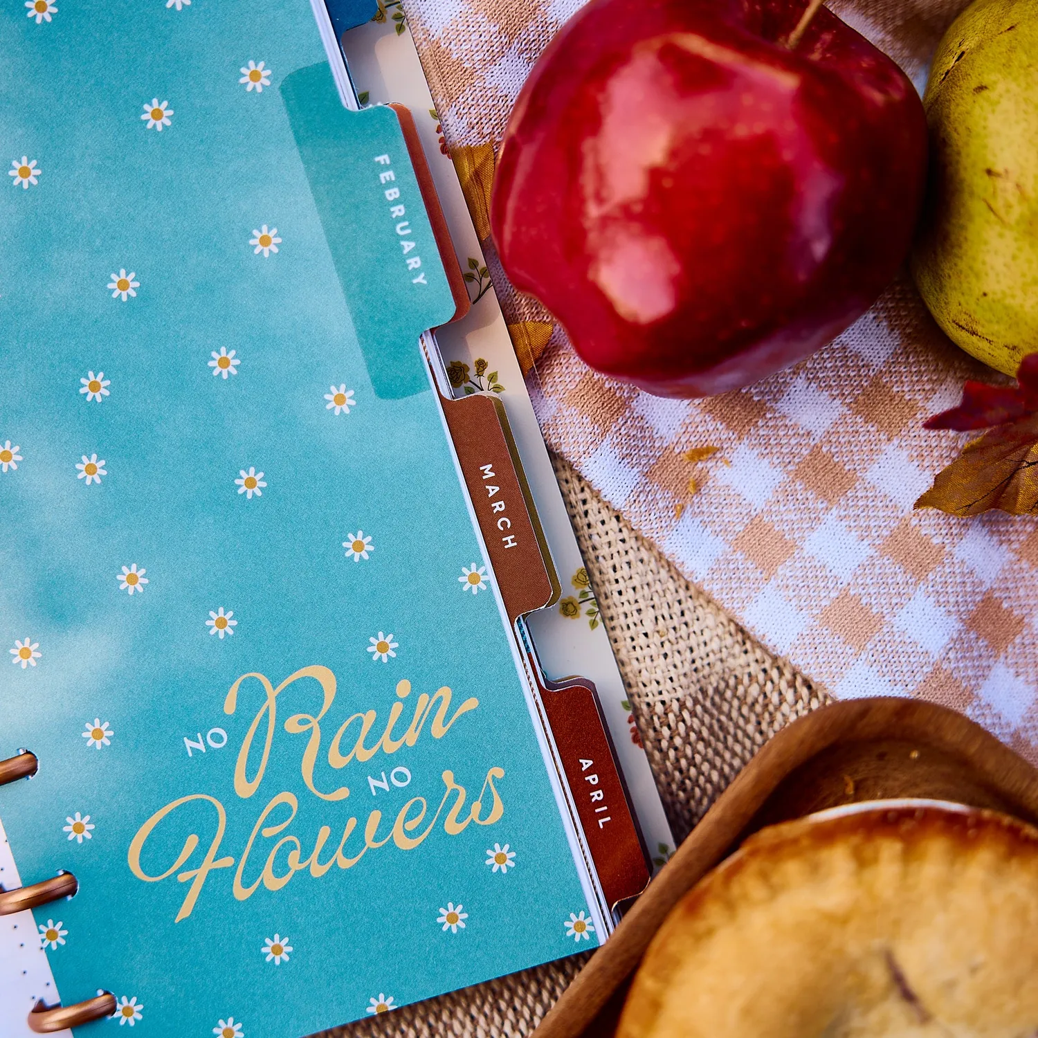 Happy Planner Fall Picnic agenda 2027 Skinny Classic horizontal