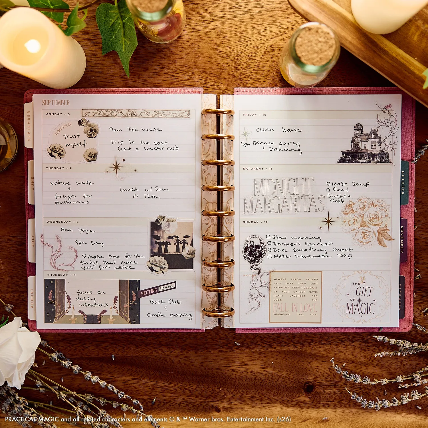 Happy Planner Practical Magic agenda 2027 Classic horizontal velours