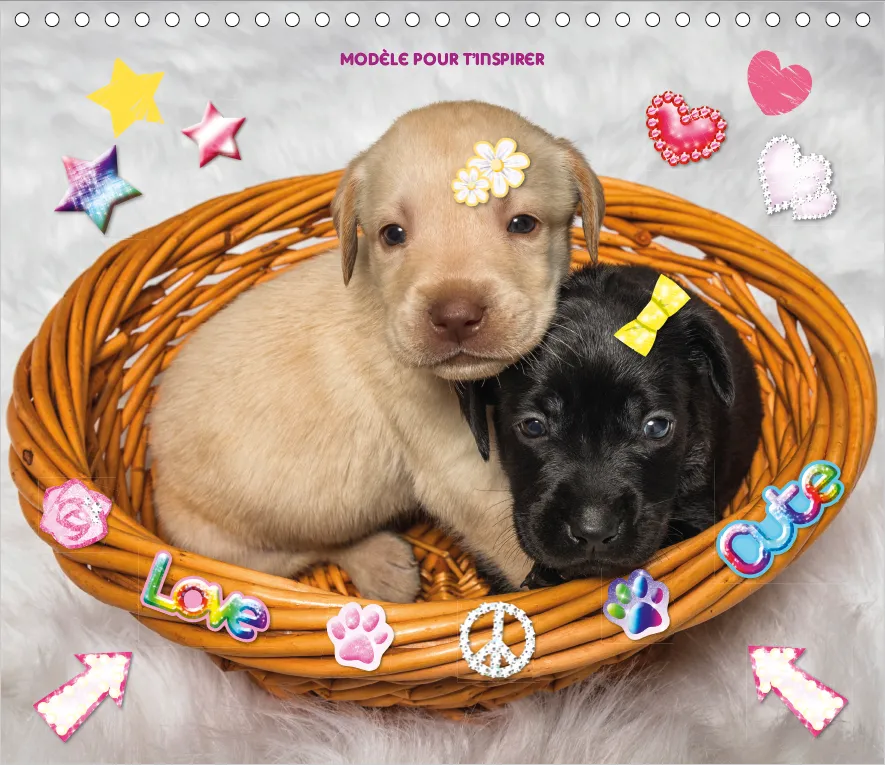 Snap’Art Chiots cahier créatif stickers portraits dès 5 ans