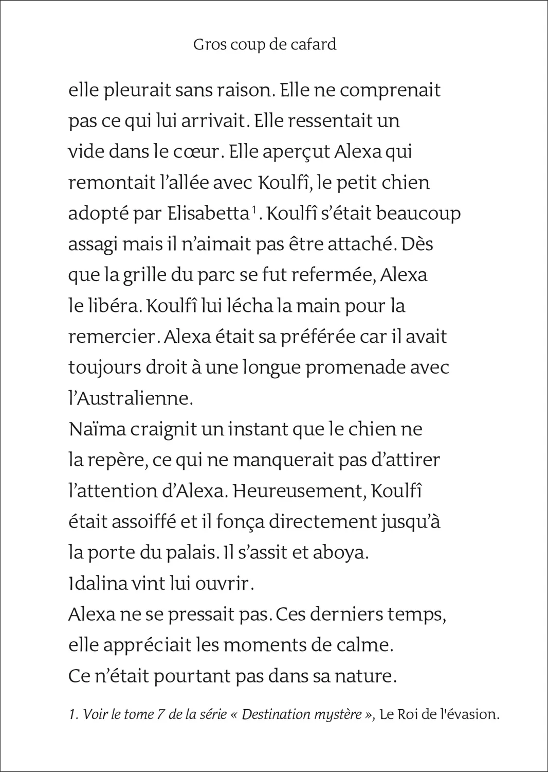 Kinra Girls Destination Mystère Tome 9 livre enquête nuit