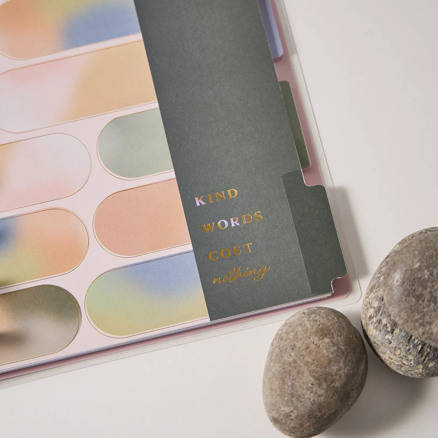 Happy Planner Savvy Budgeter planner budget non daté Classic
