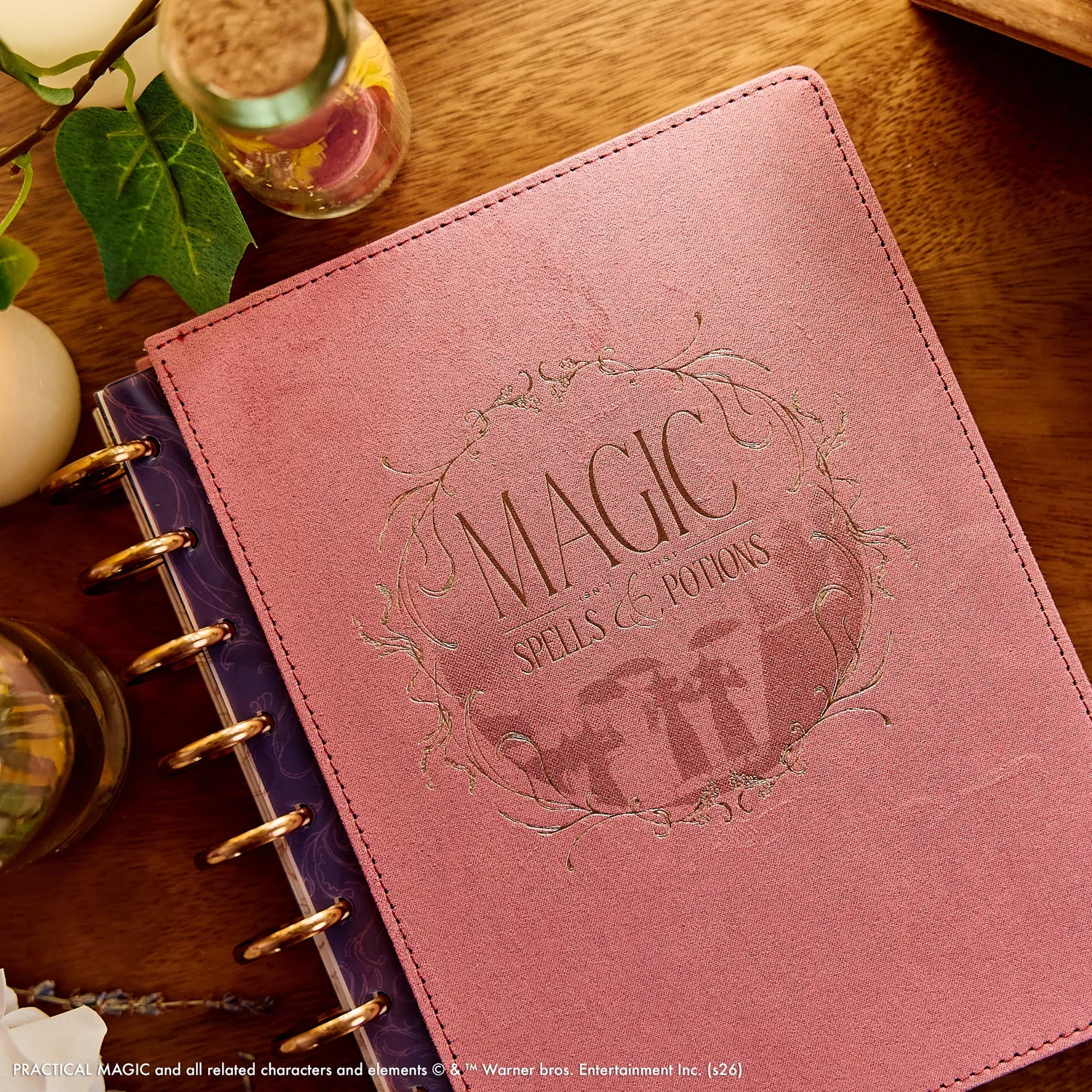 Happy Planner Practical Magic agenda 2027 Classic horizontal velours