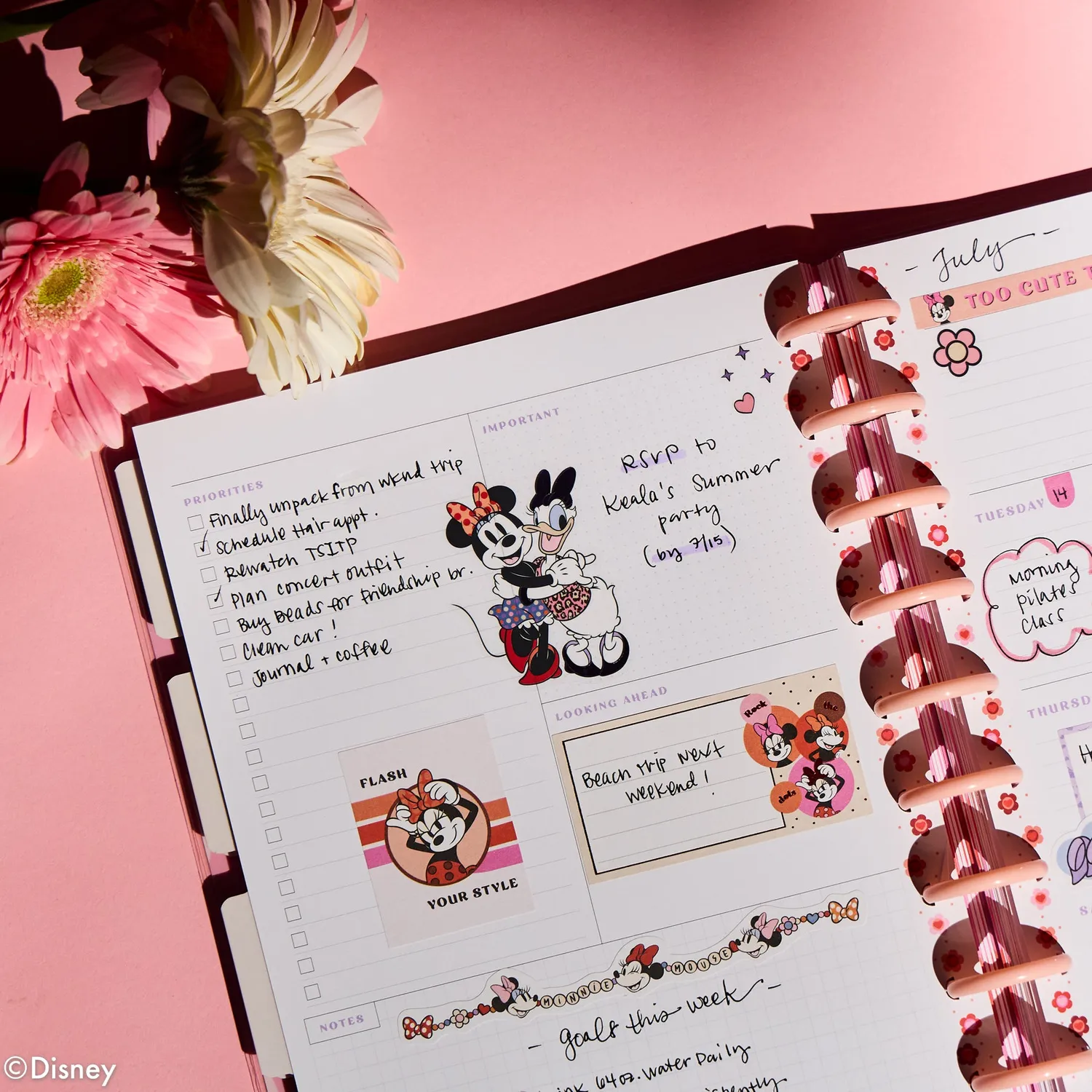 Happy Planner Minnie Mouse agenda Classic non daté dashboard