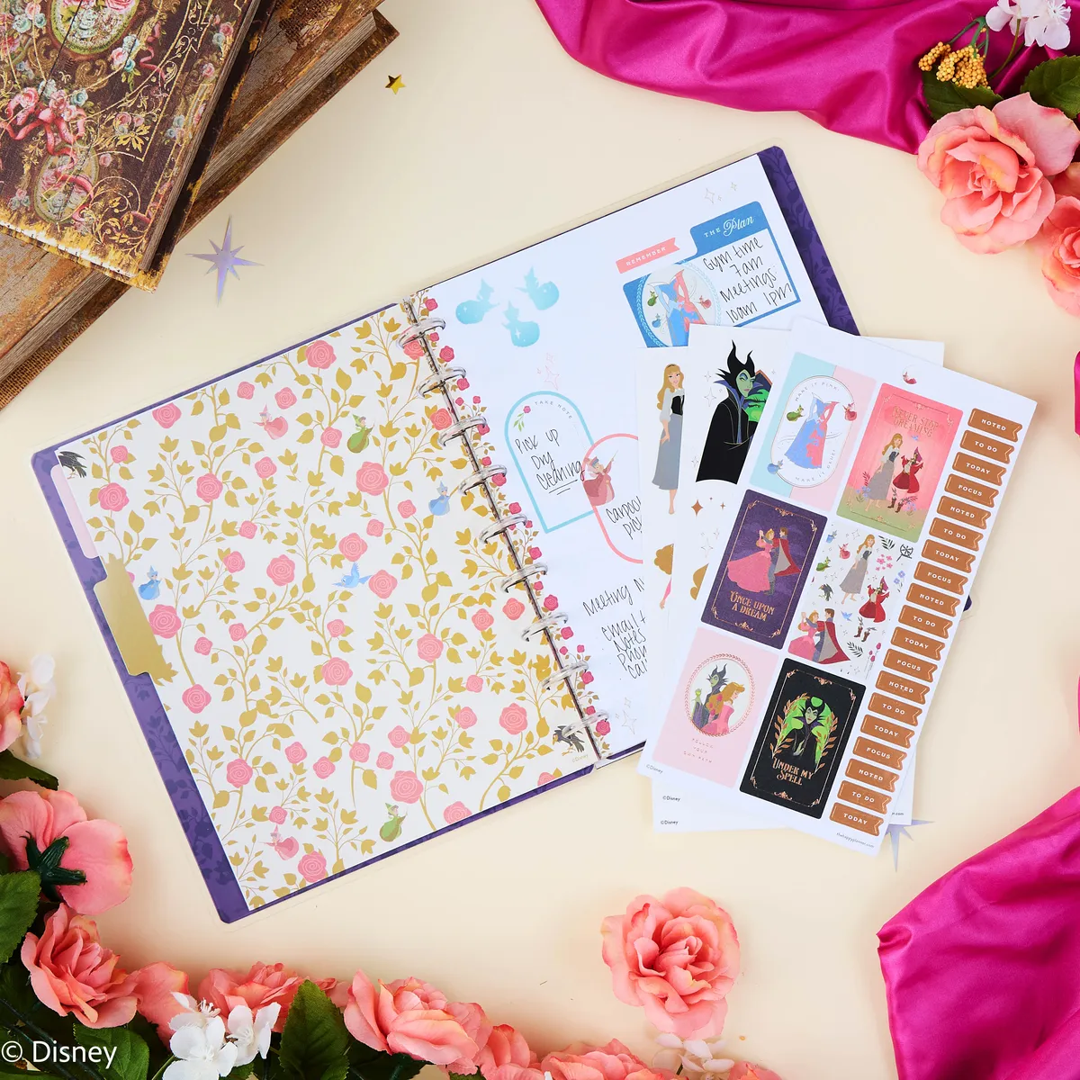 Happy Planner Disney Aurore carnet ligné pointillé classic