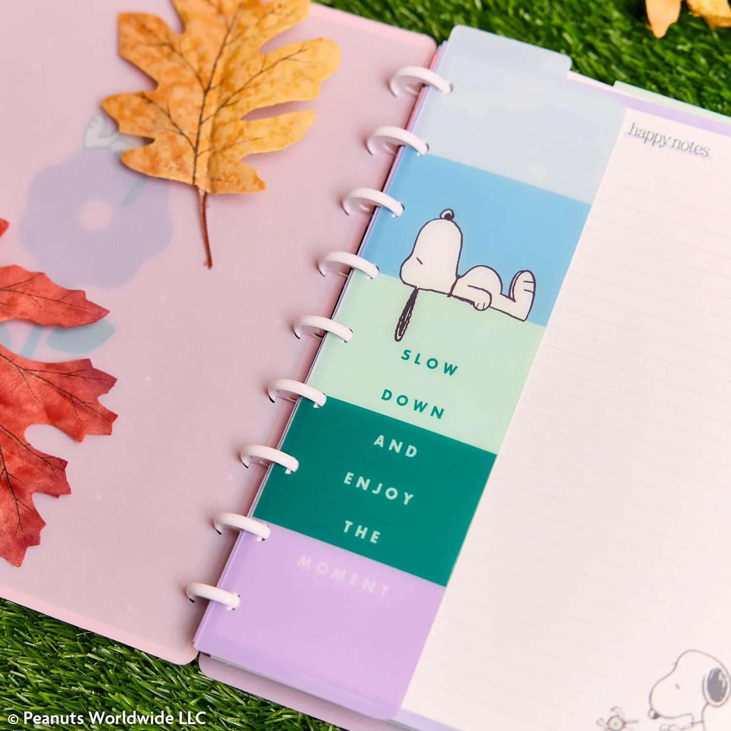 Happy Planner Peanuts Snoopy pack accessoires Classic 24 pièces