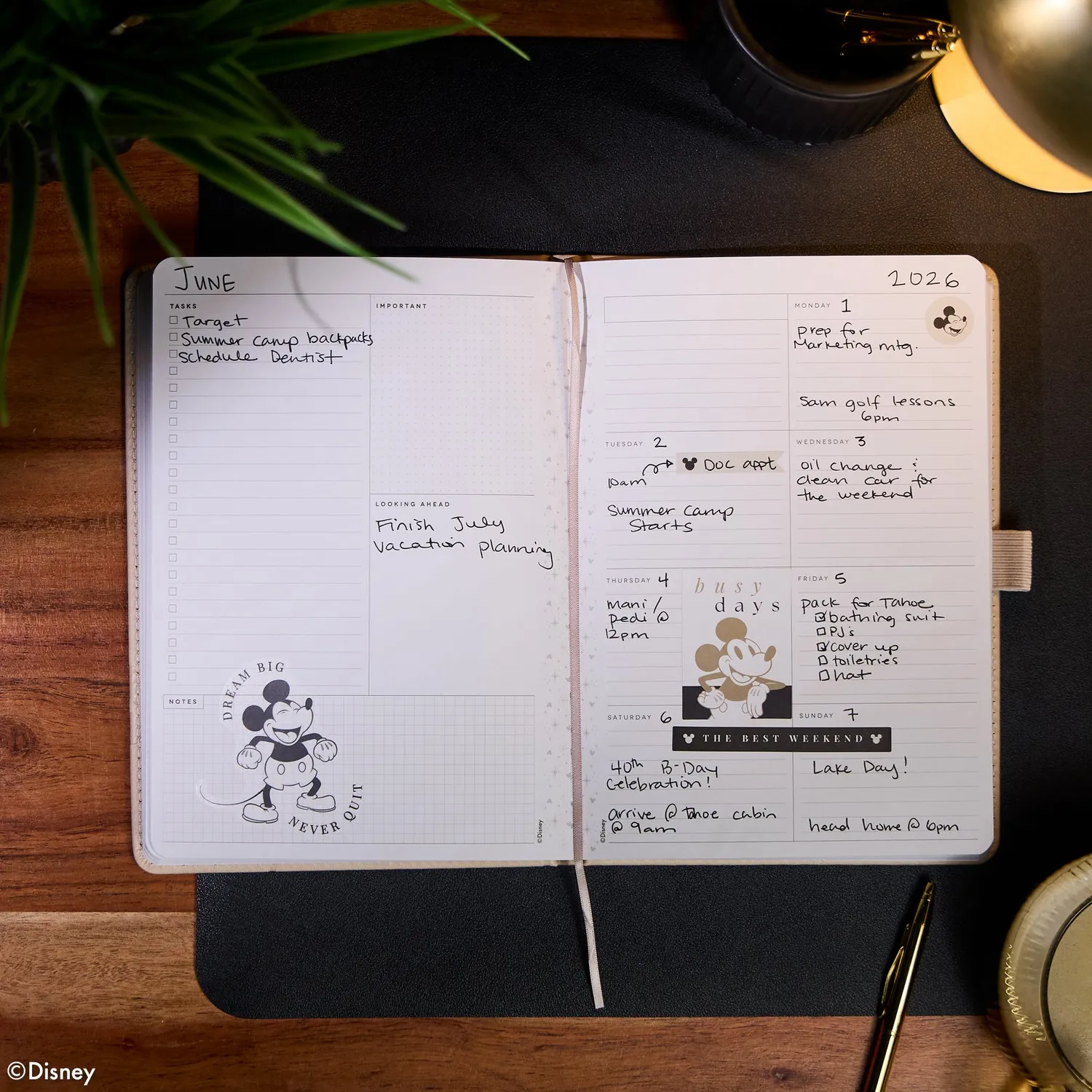 Happy Planner Disney Mickey agenda relié ivoire Small dashboard