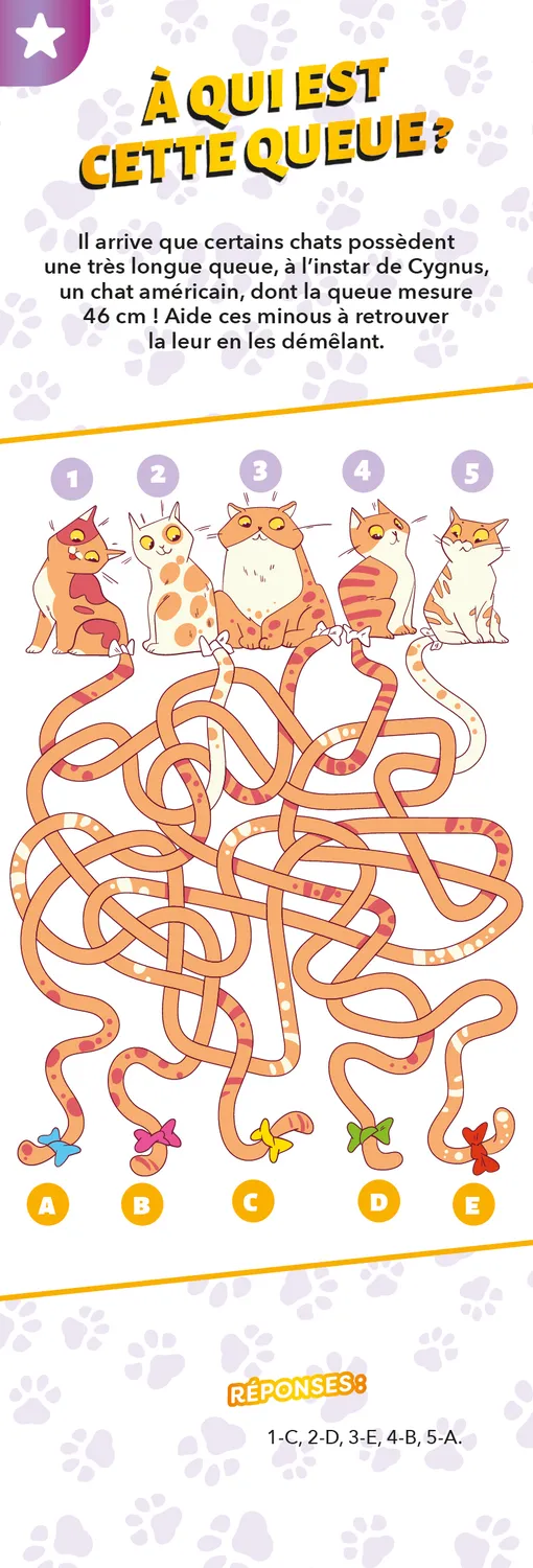 Frigobloc Éventail Passion Chats quiz enfant