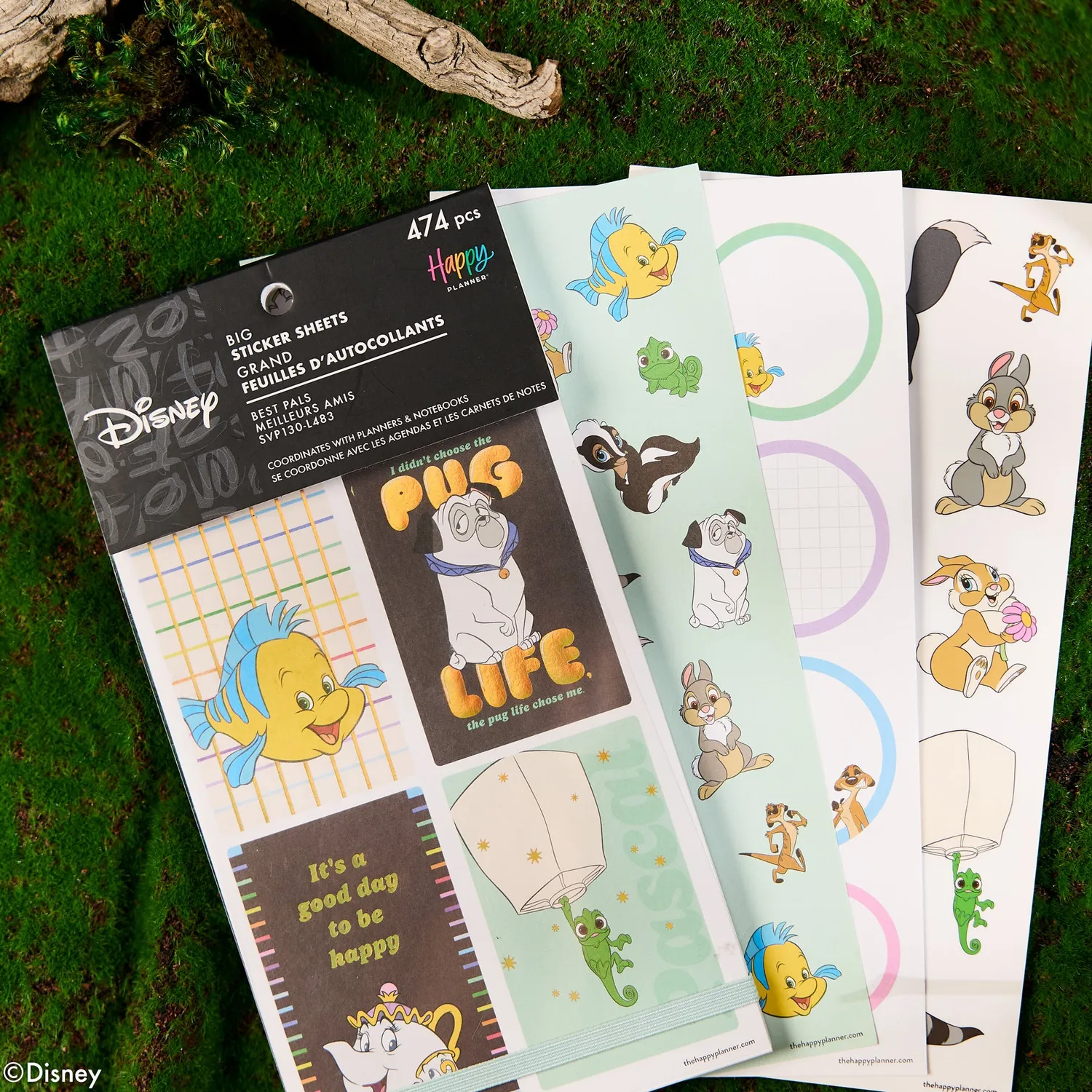 Happy Planner Disney Best Pals stickers Big 30 feuilles