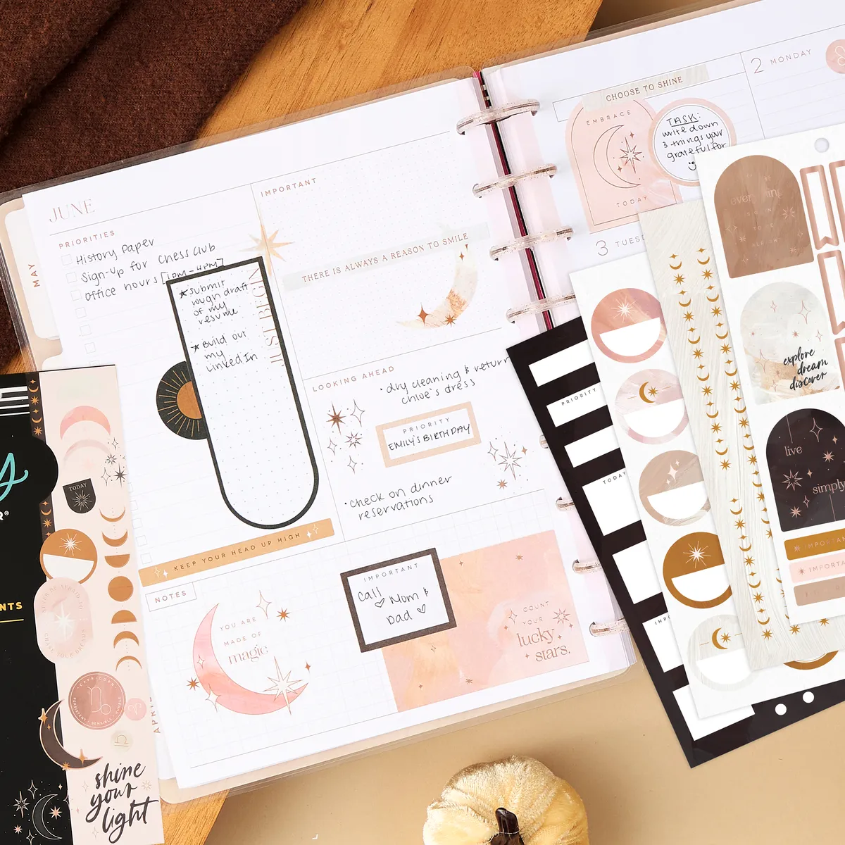 Happy Planner Everyday Magic stickers astrologie 725