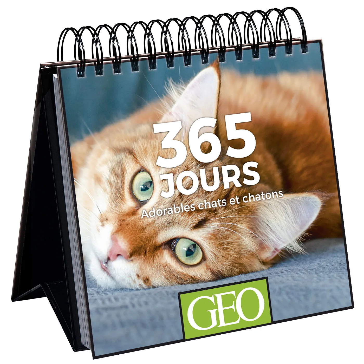 Géo 365 Jours Adorables calendrier chevalet chats et chatons