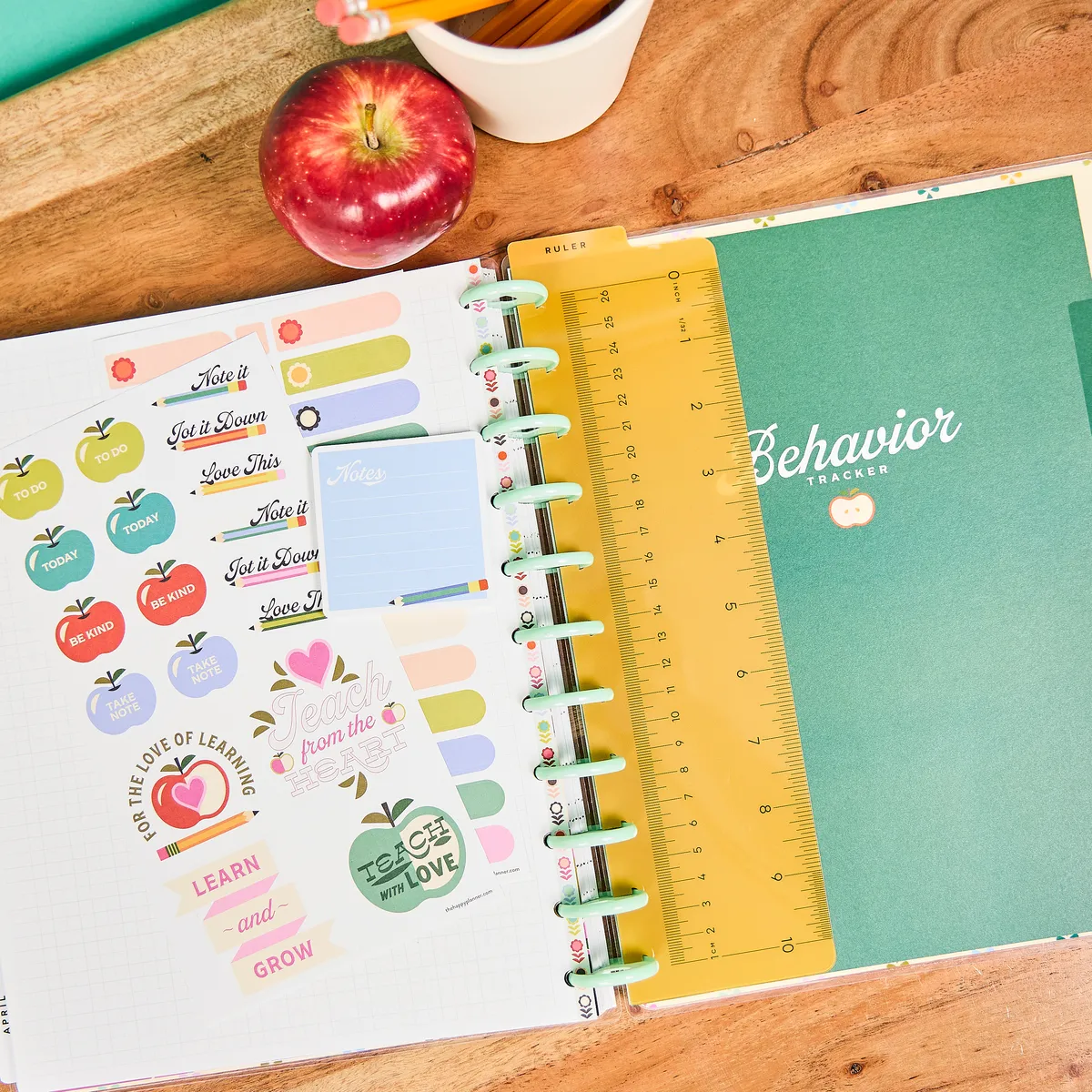 Me & my big ideas Mod Teacher pack classe Big plans