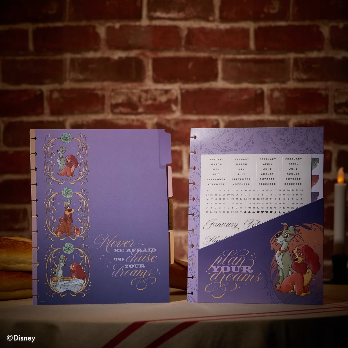 Happy Planner Disney Lady Tramp extension planner Big 4 mois