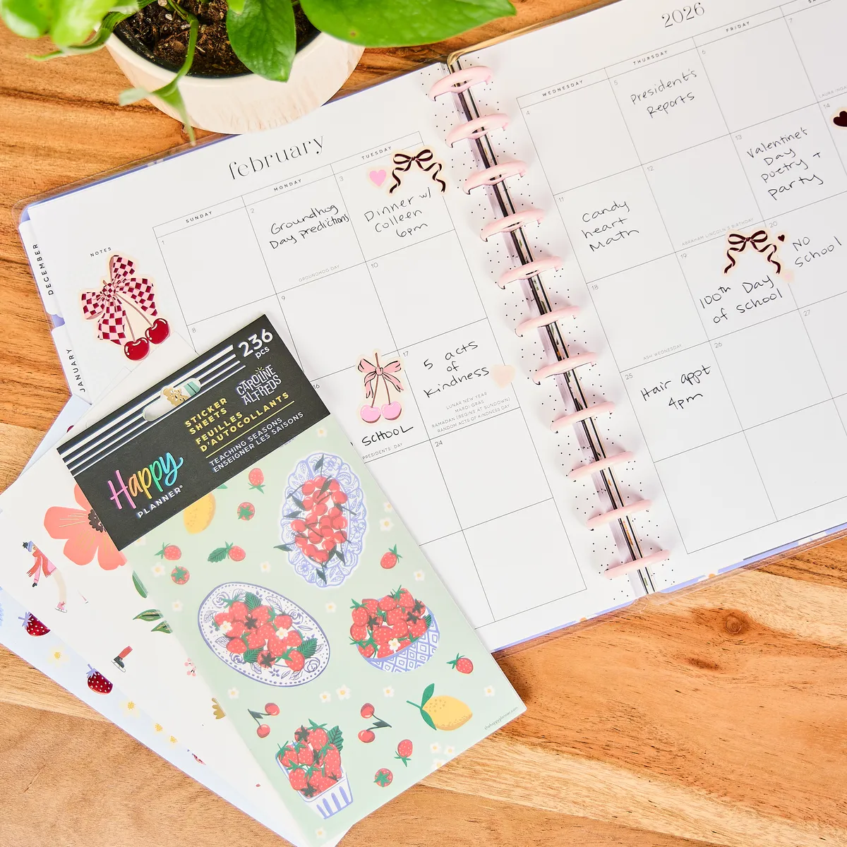 Happy Planner Teaching Seasons stickers 10 feuilles 236