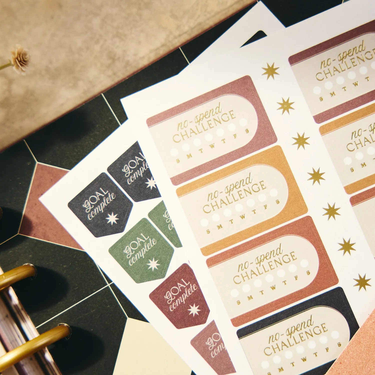 Happy Planner Amber & Oak Budget compagnon planning Classic