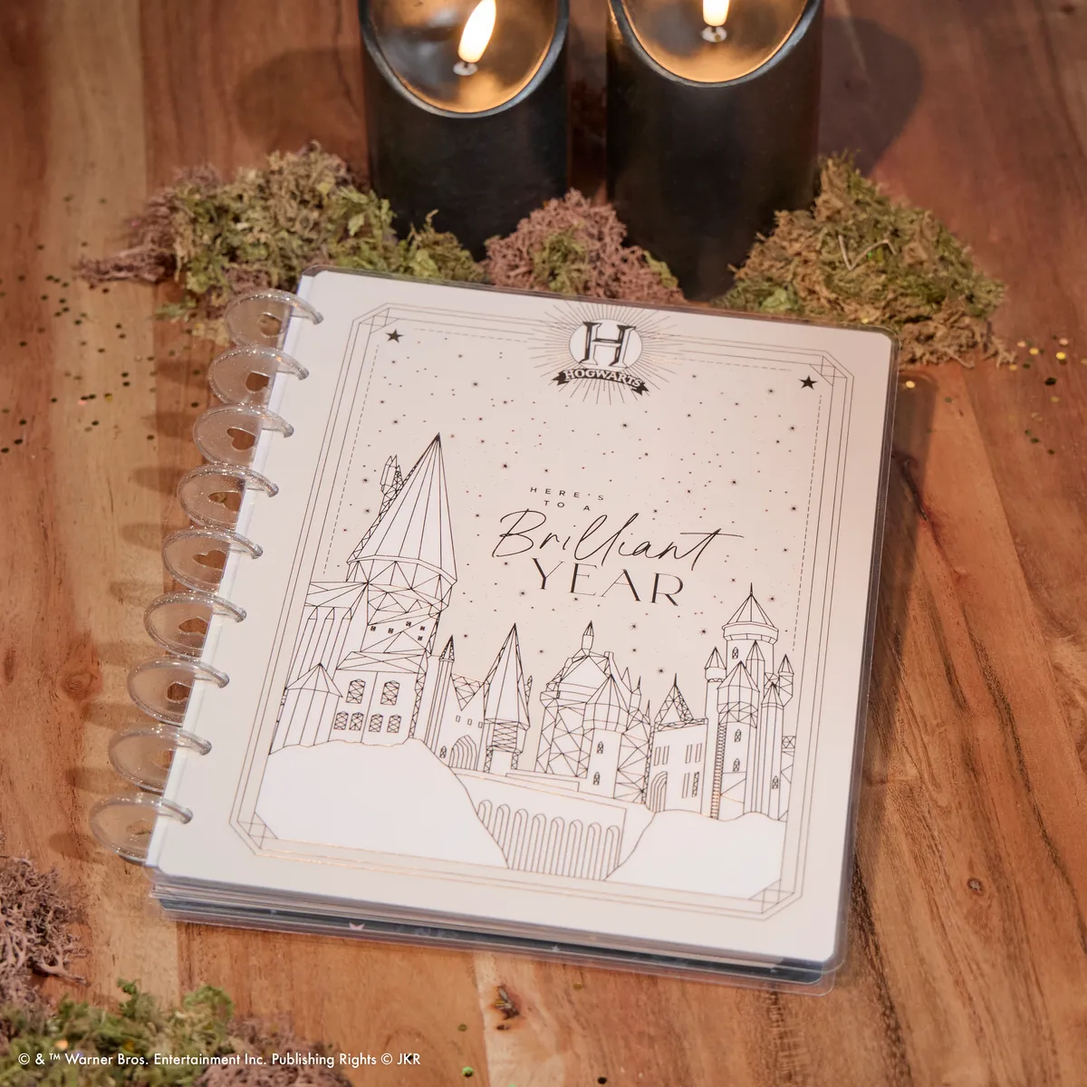 Happy Planner Harry Potter agenda vertical Classic non daté 12 mois