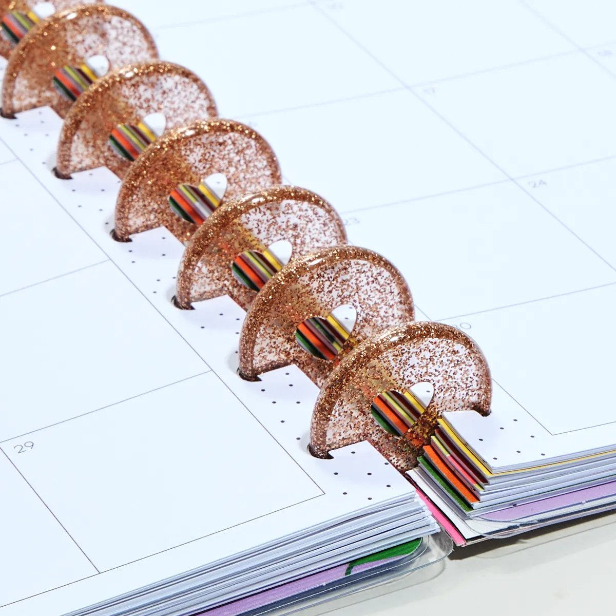 Happy Planner Chestnut Shimmer disques Medium 11 marron pailleté