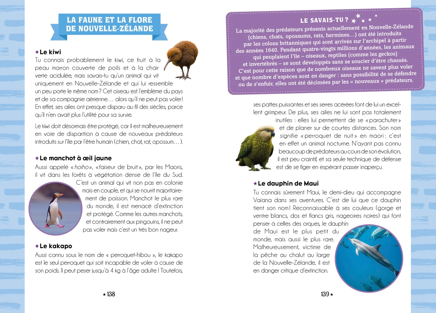 Frigobloc L'Aventure au Galop Tome 3 roman étalon solitaire 8 ans