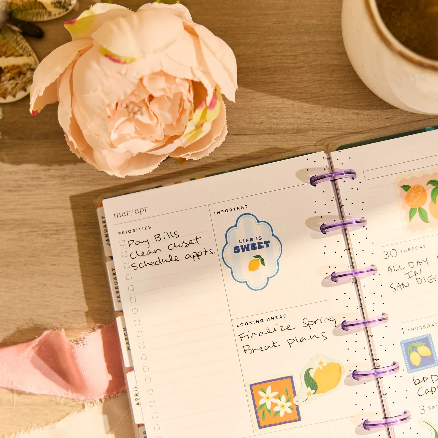 Happy Planner Golden Garden agenda Mini 2026-2027 dashboard