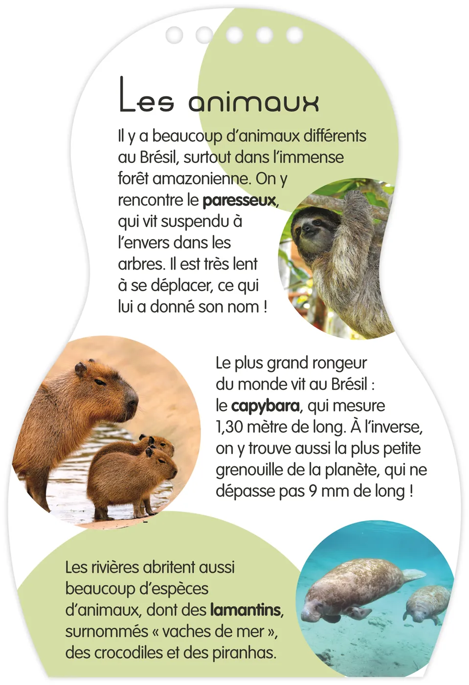 Frigobloc Minimiki Isabela au Brésil carnet créatif 2025
