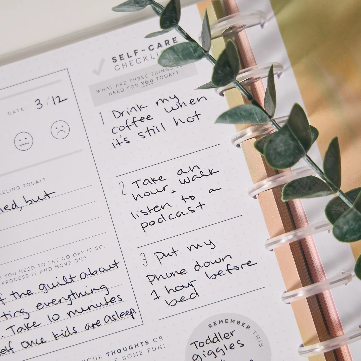 Happy Planner Rise & Align Reflect journal guidé Classic 160 pages