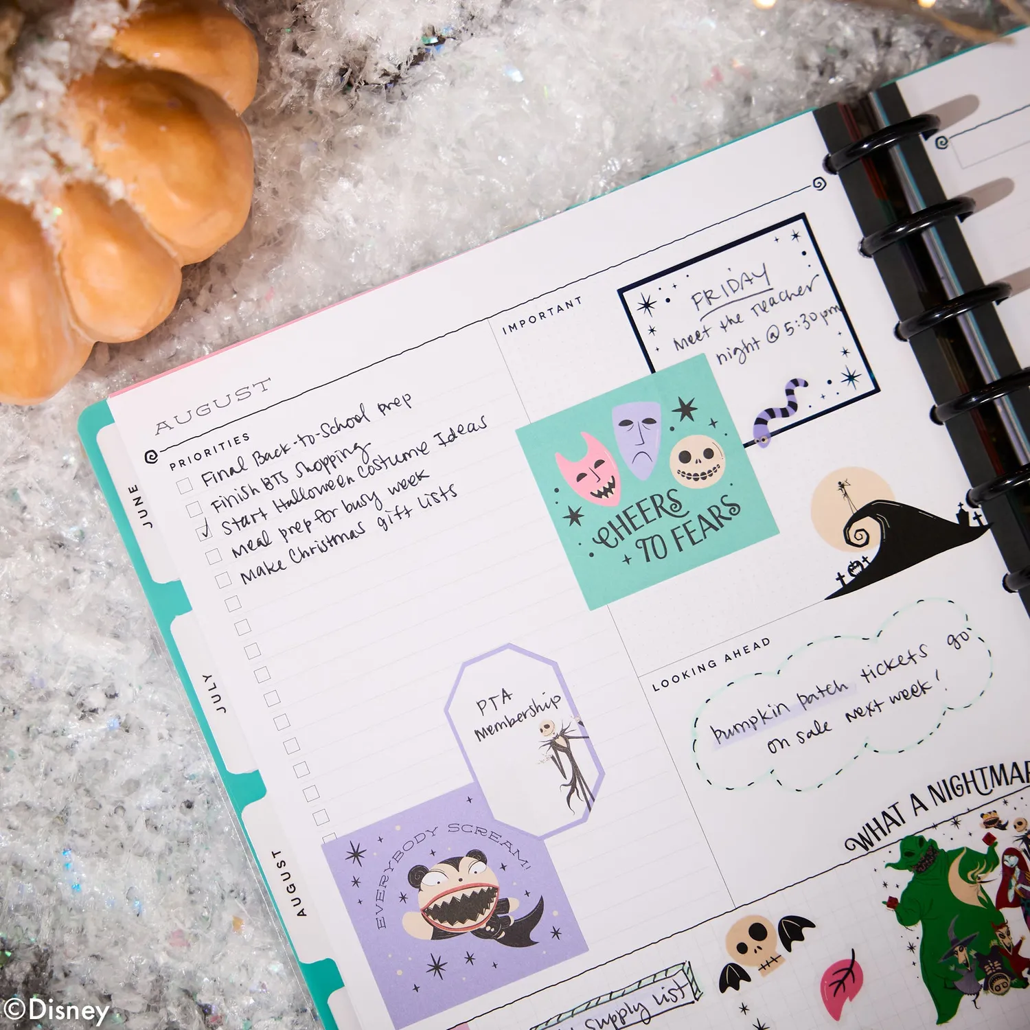 Happy Planner Nightmare Before Christmas agenda 2027 Big