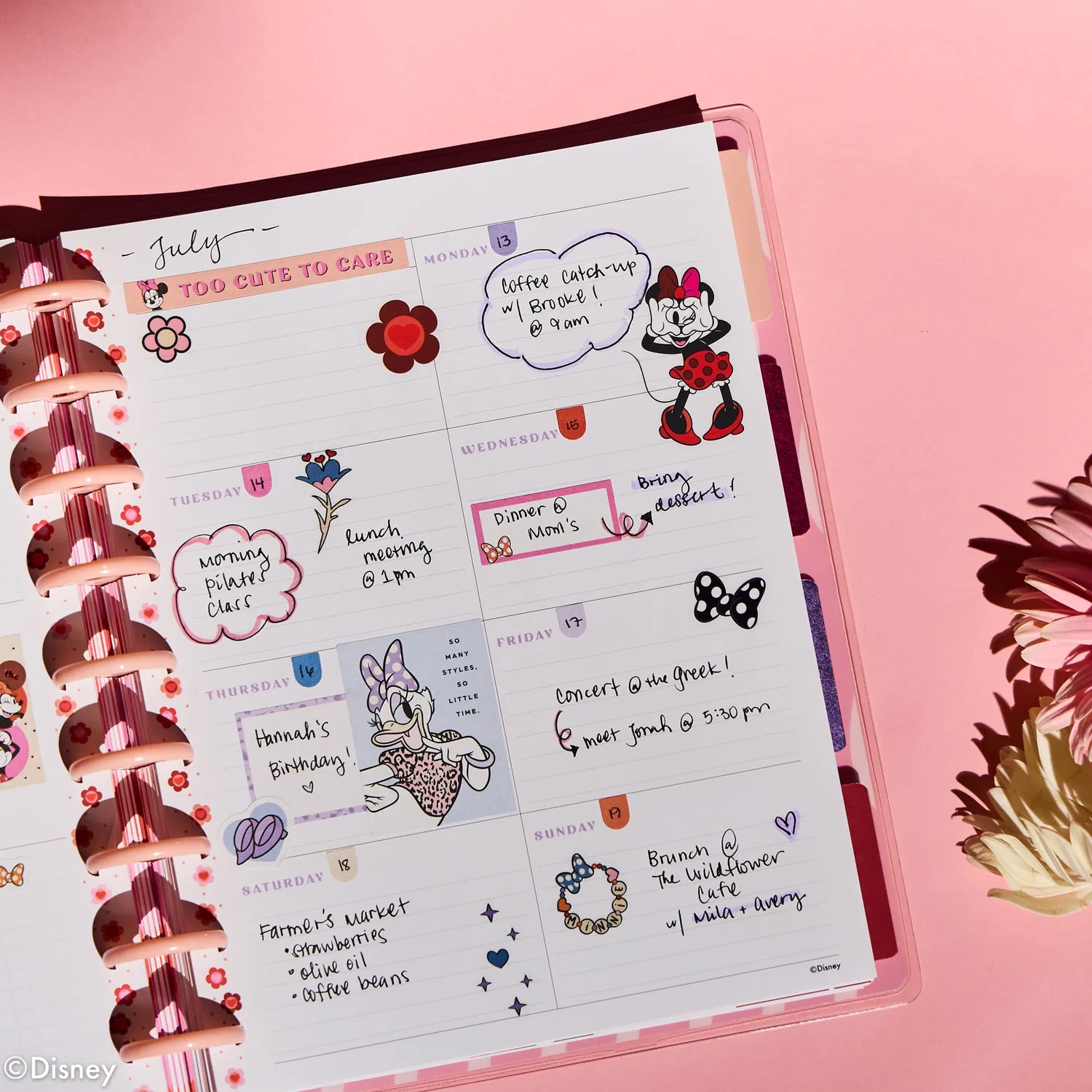 Happy Planner Minnie Mouse agenda Classic non daté dashboard