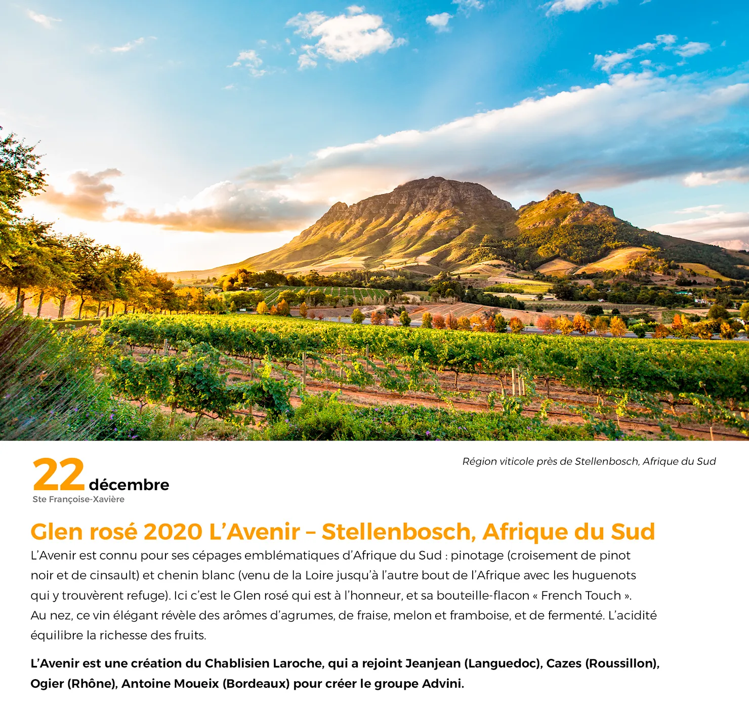 Frigobloc Géo 365 jours vins et vignobles calendrier chevalet