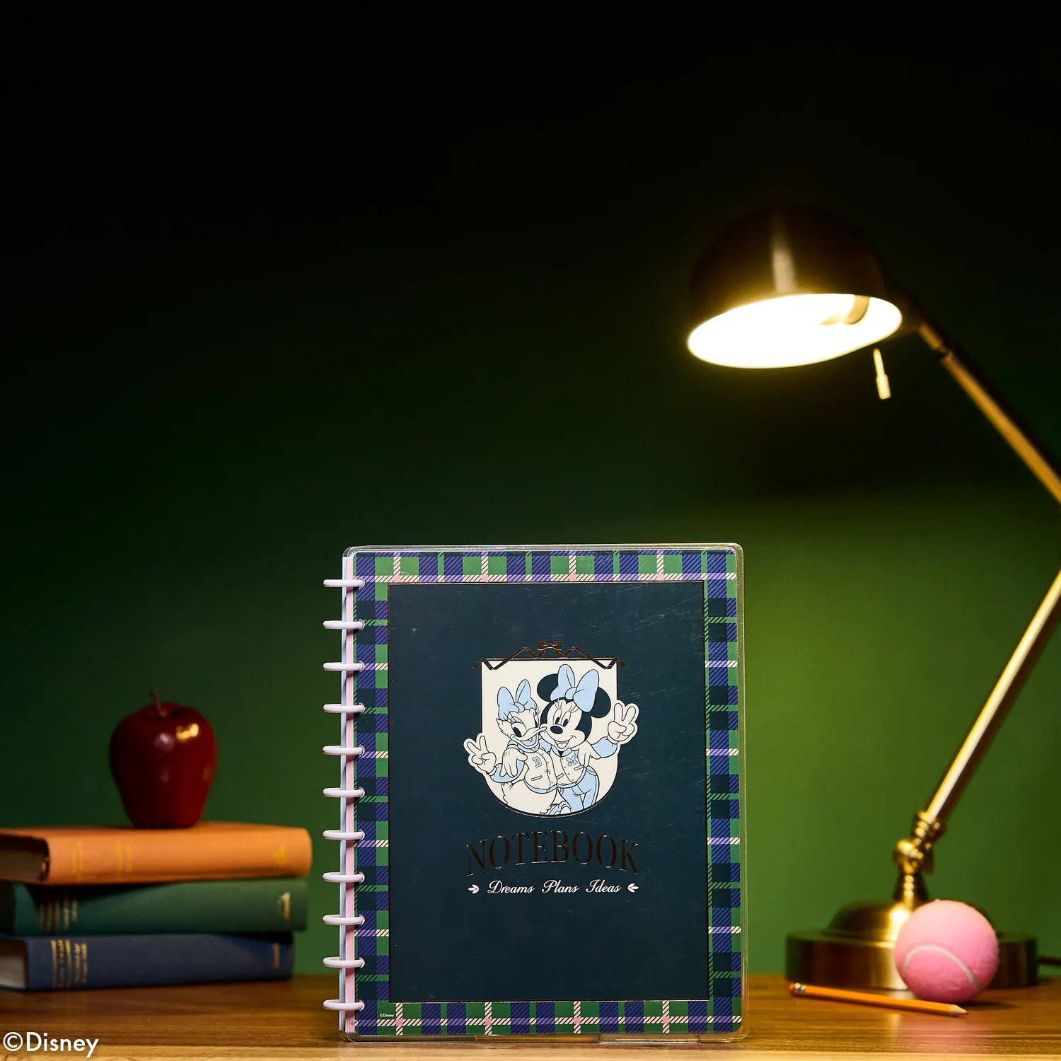 Happy Planner Minnie Daisy Varsity carnet Big pointillé 60