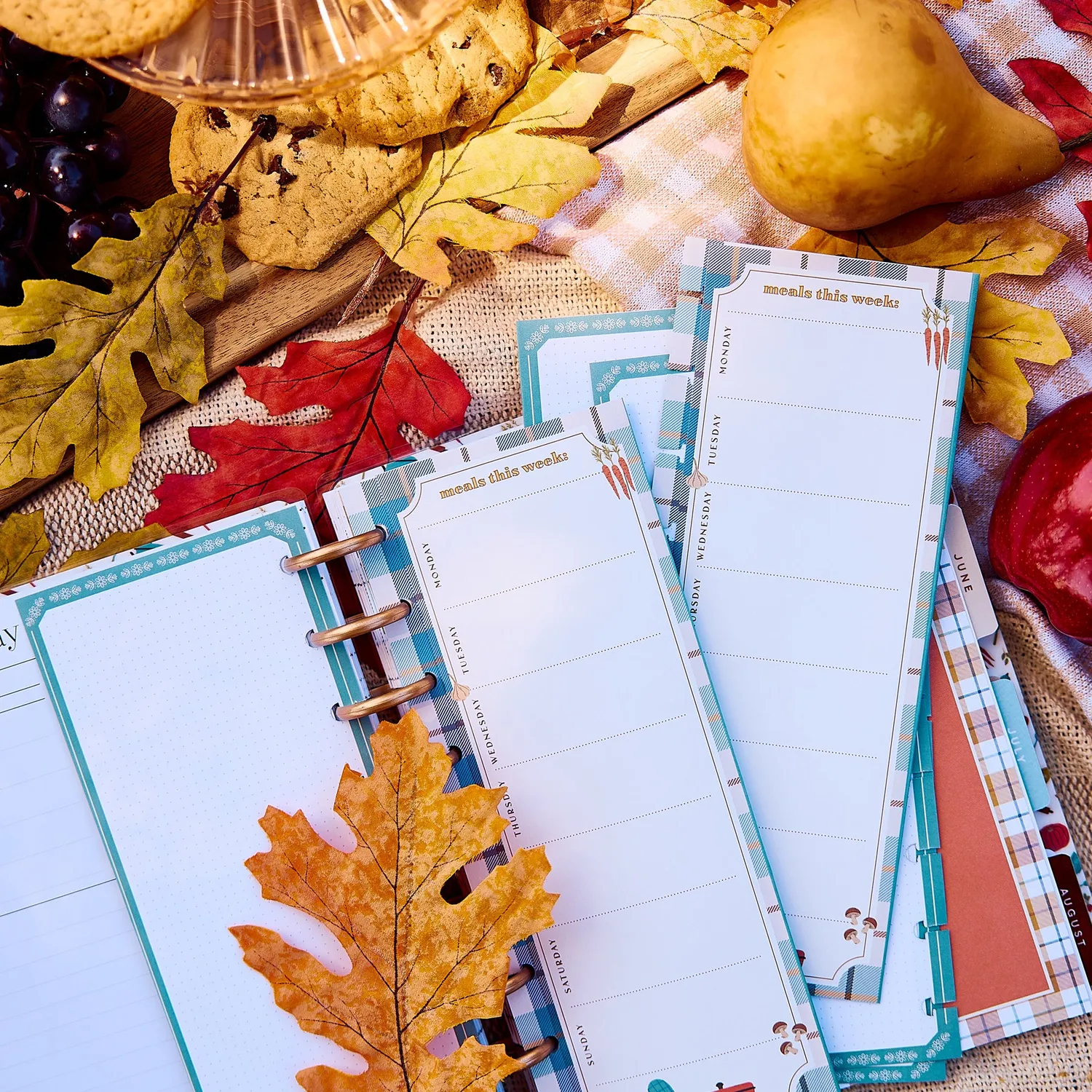 Happy Planner Classic recharge menus courses Fall Picnic 40 feuilles