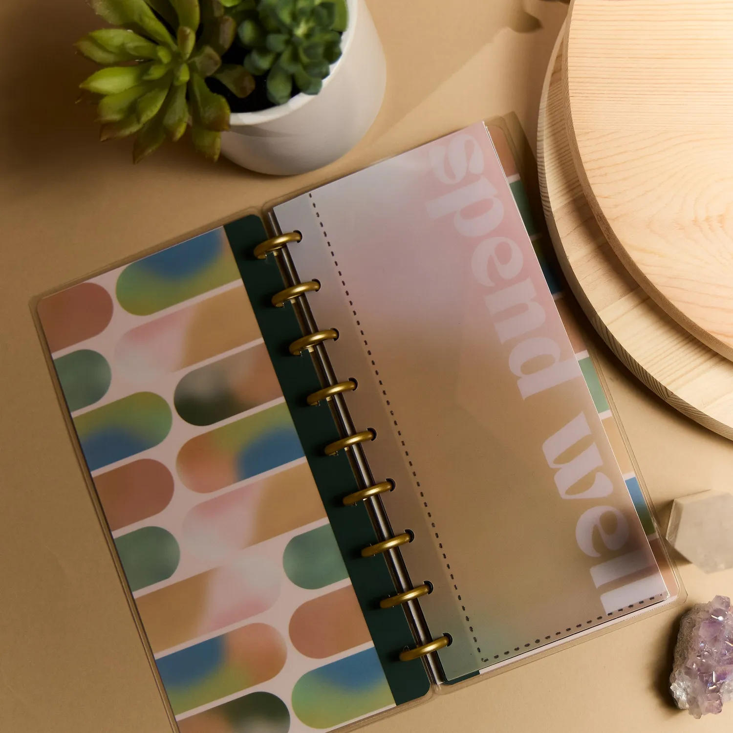 Happy Planner Savvy Budgeter carnet budget Skinny Classic