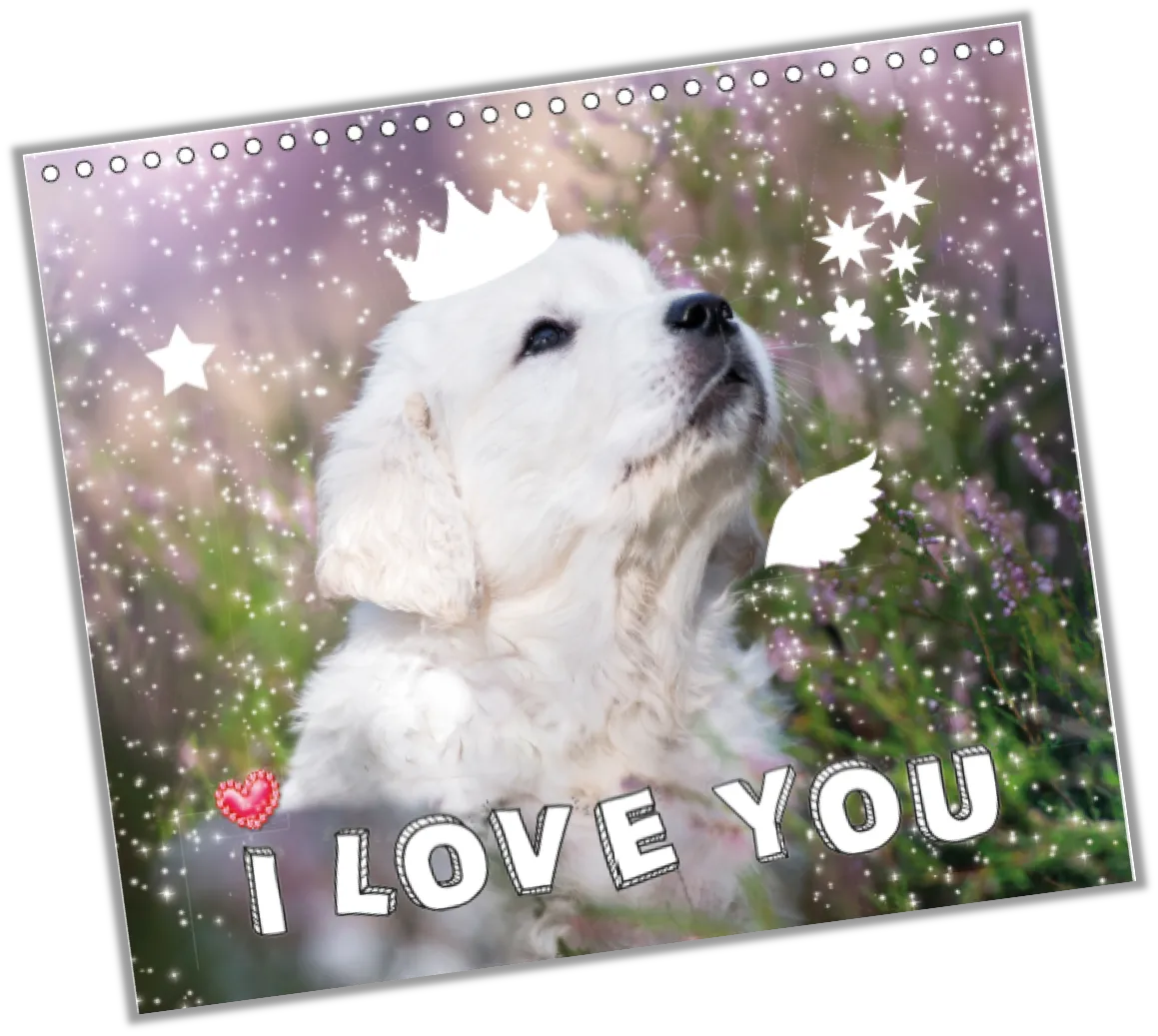 Snap’Art Chiots cahier créatif stickers portraits dès 5 ans